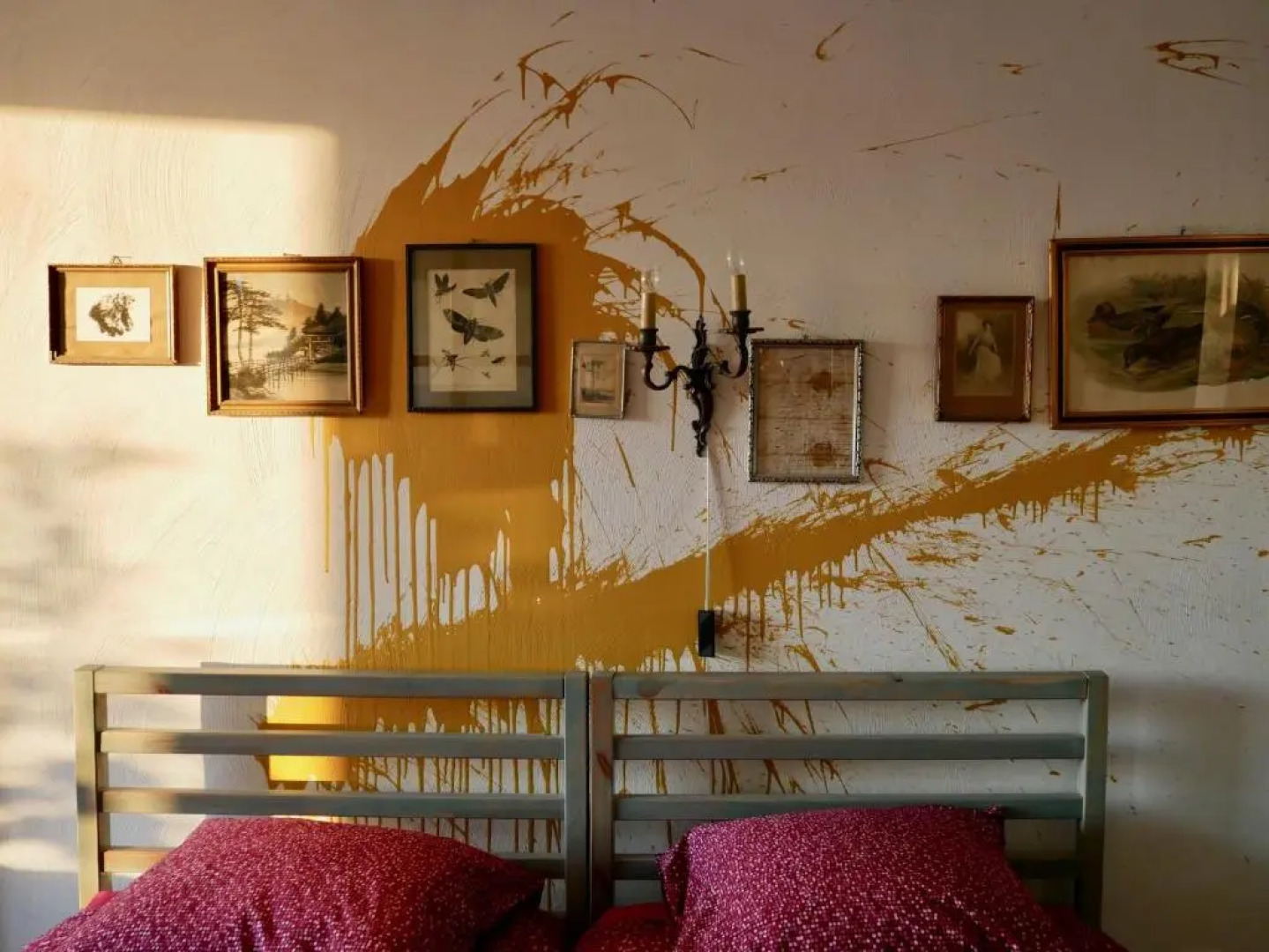 StudioExtra incl auto P