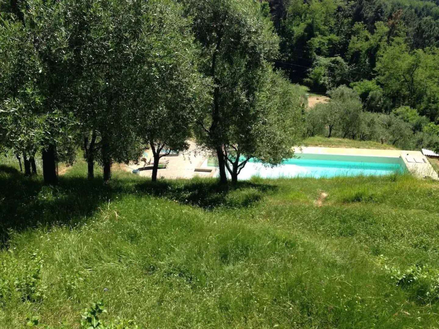 Holiday Home in Pescia With Swimming Pool