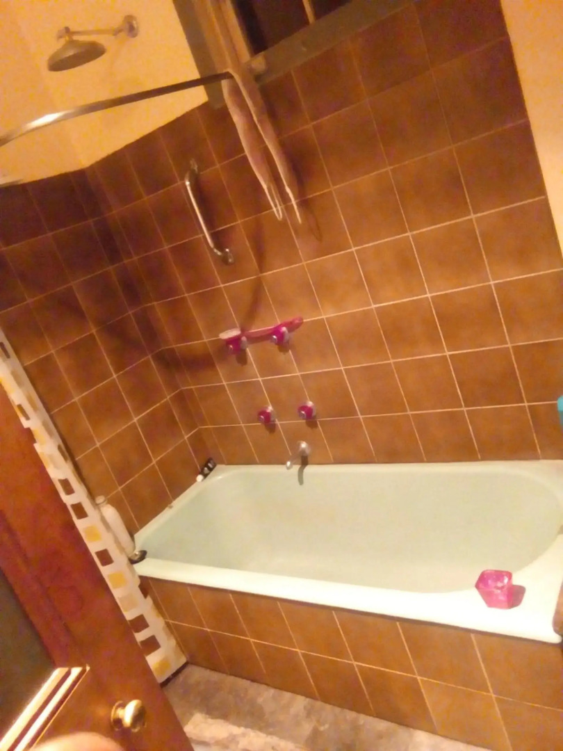 Sylvia Lodge A pet friendly Homestay for budget travellers