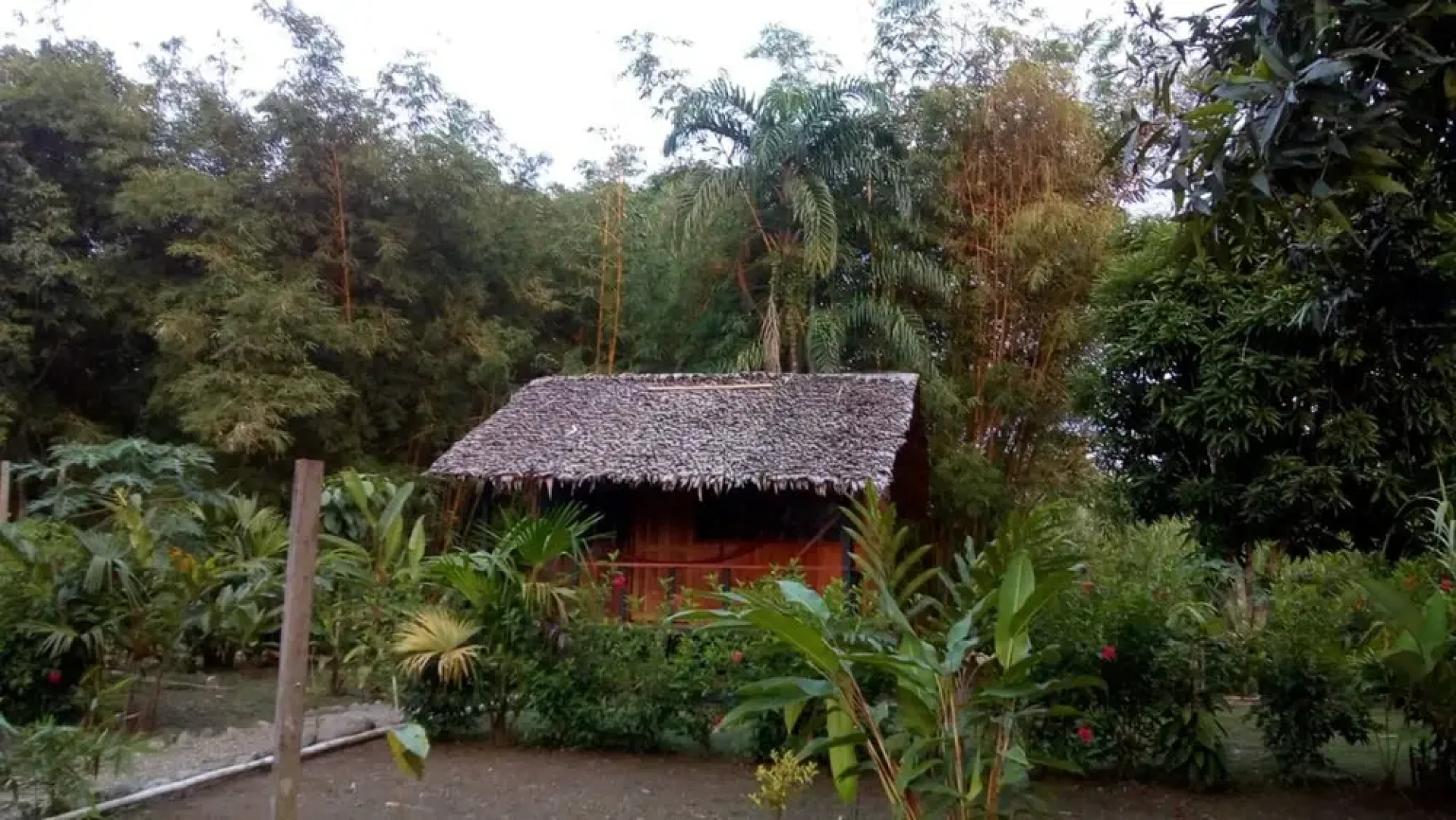 Rio Mar Bahía Solano Choco Colombia