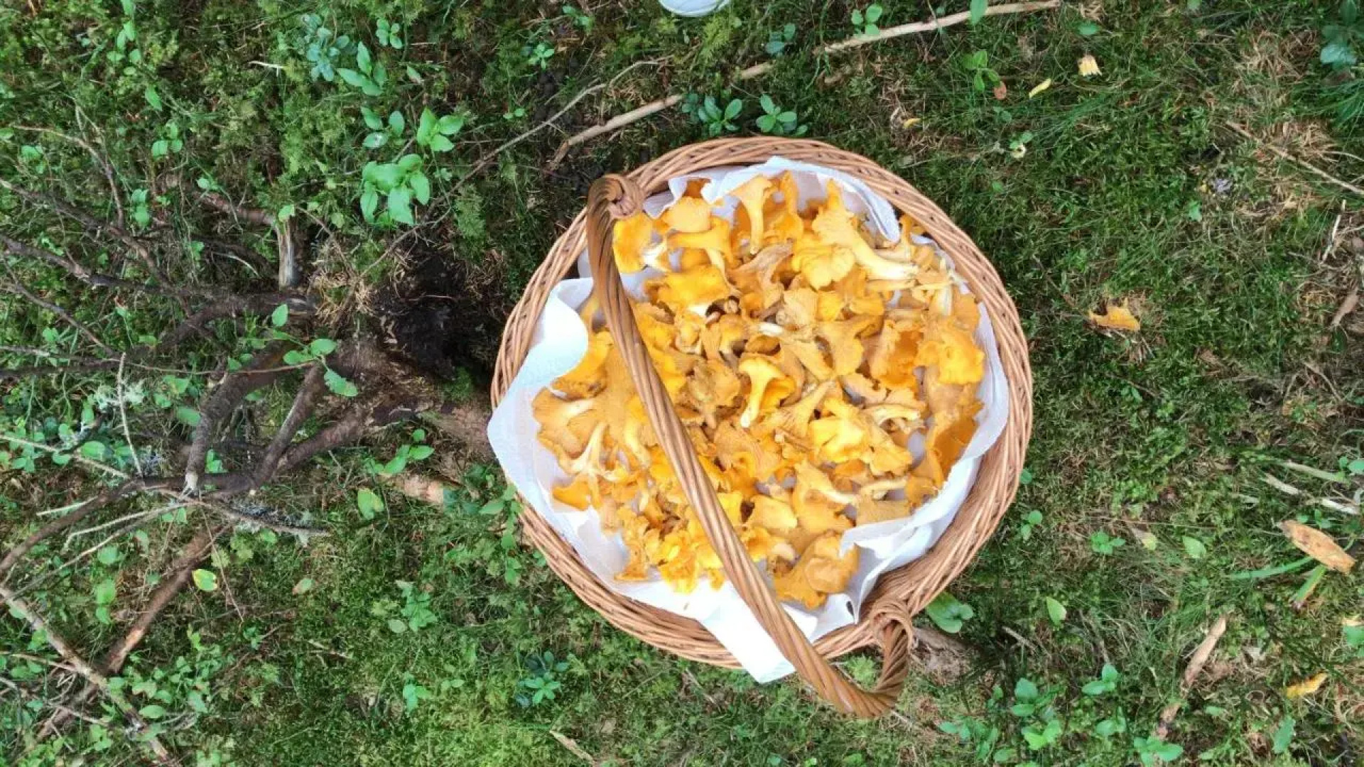 Aqua Reiki Ski Hotel Klippitz Nordost