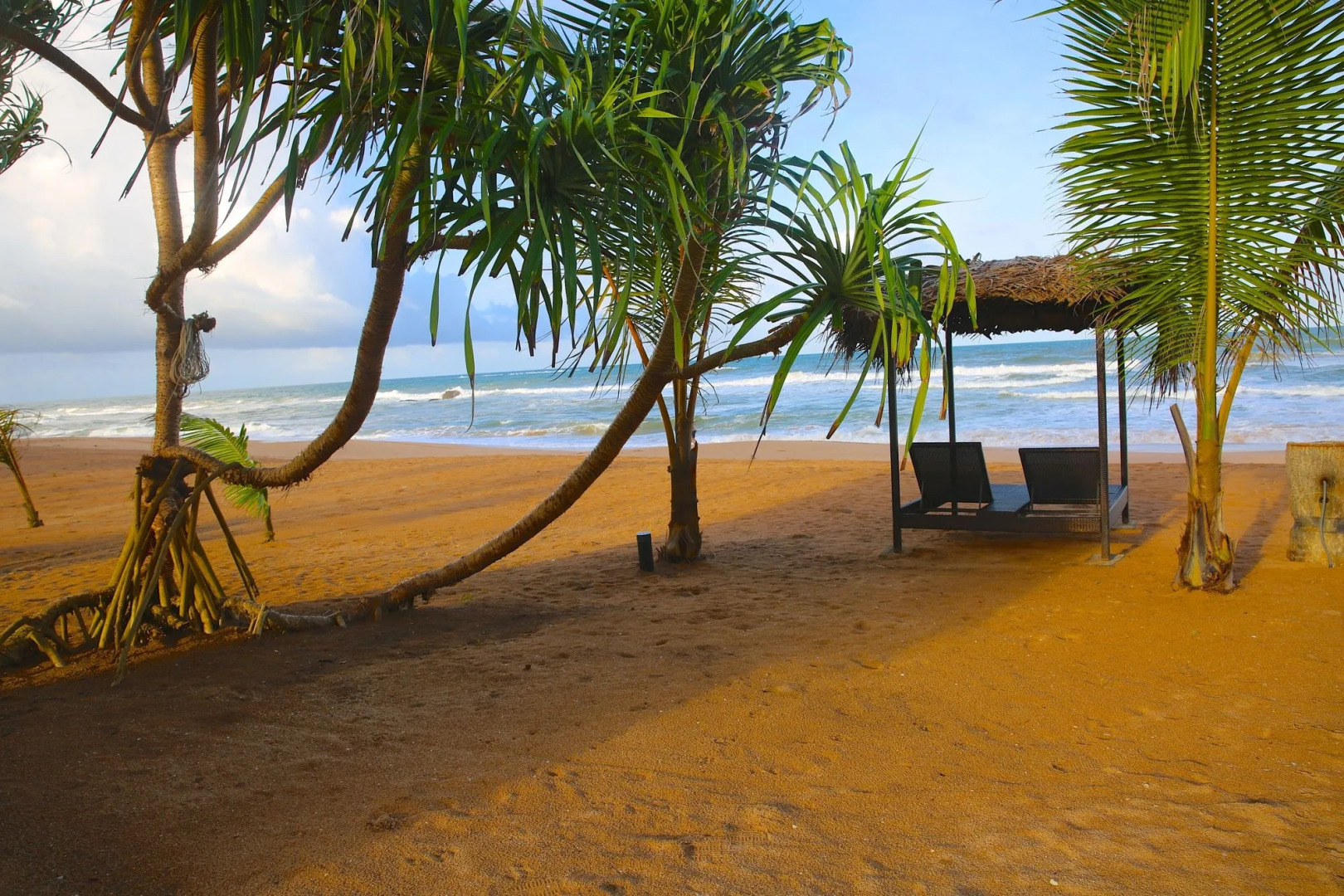 Whispering Palms Hotel