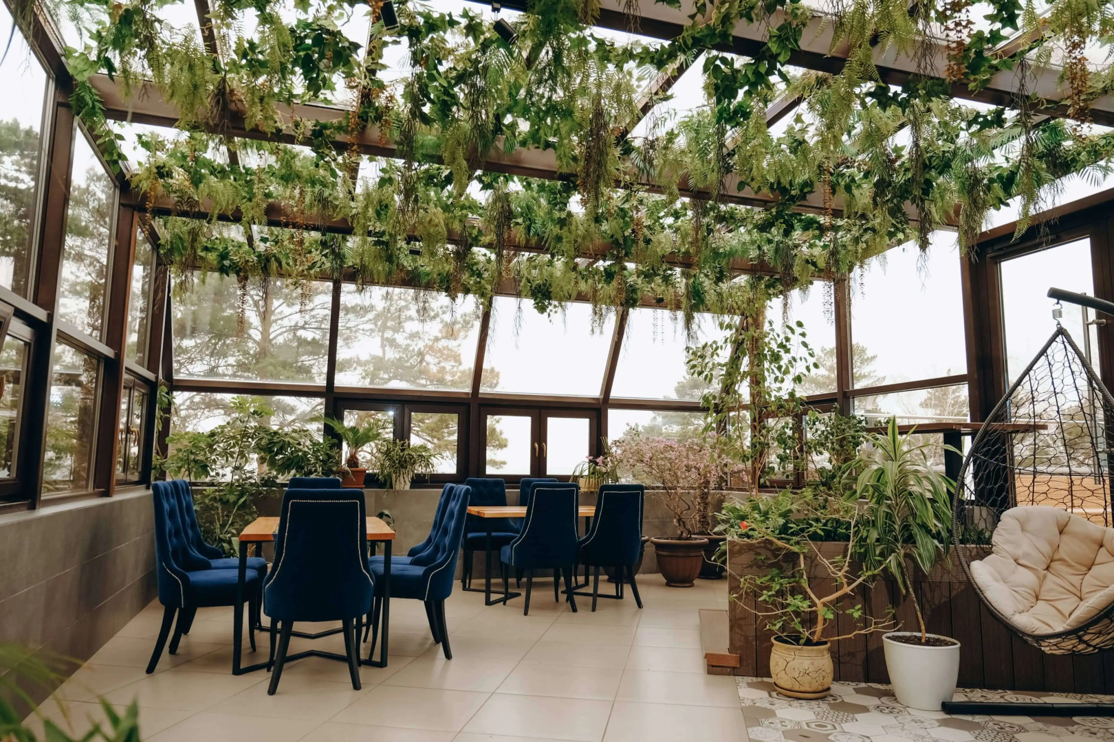 Лукоморье Ляпки