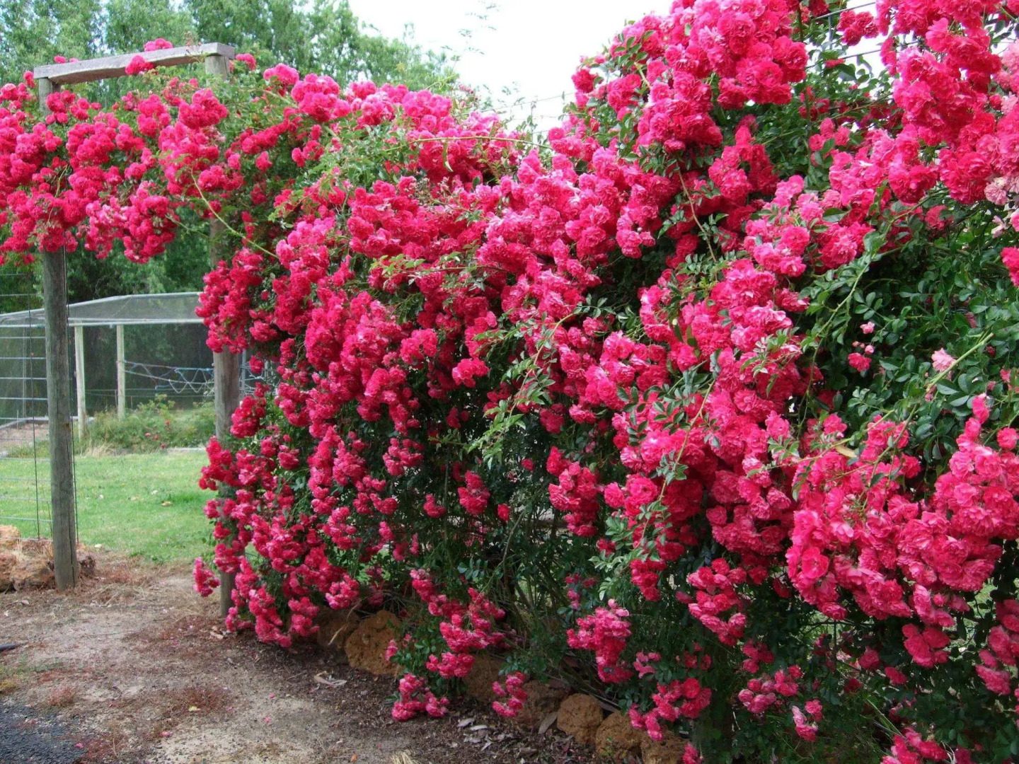 Mossbrook Country Estate Bed & Breakfast