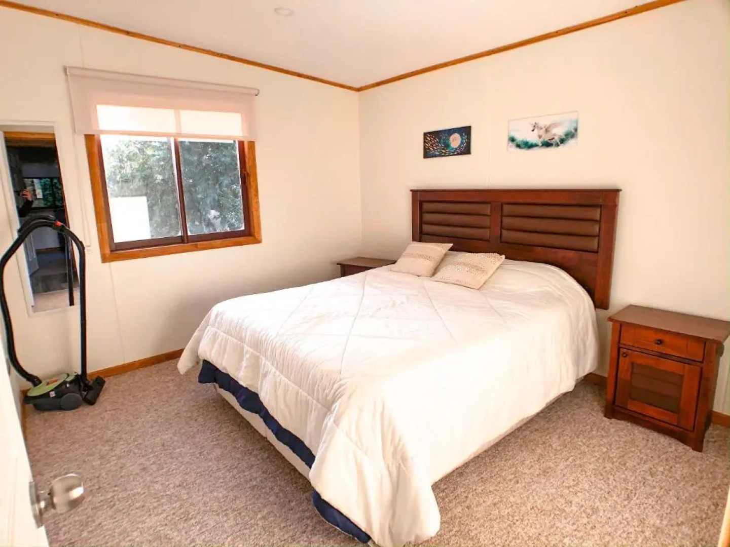 Cabaña Ayekantun Futrono 2