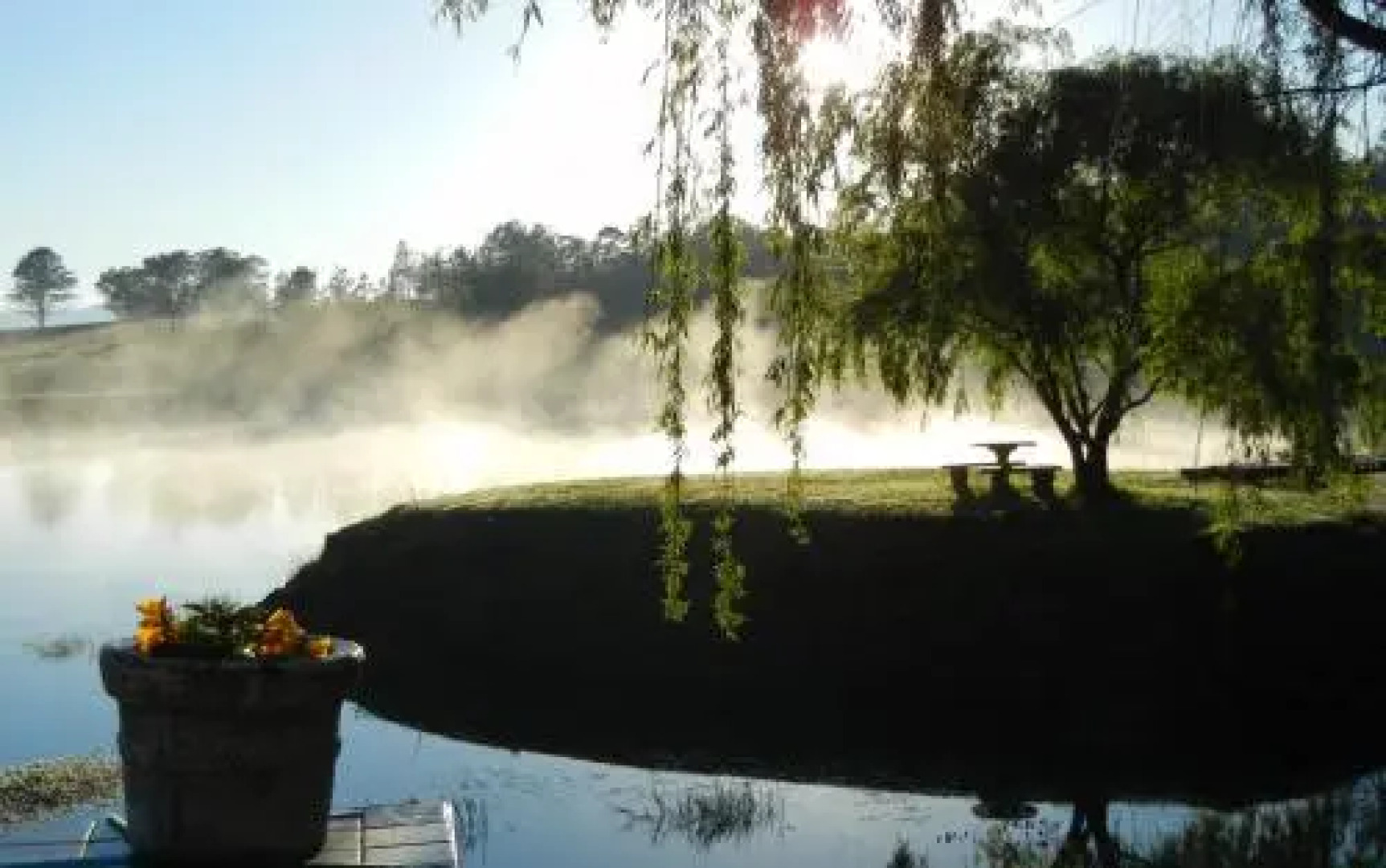 Willowbrooke Cottage