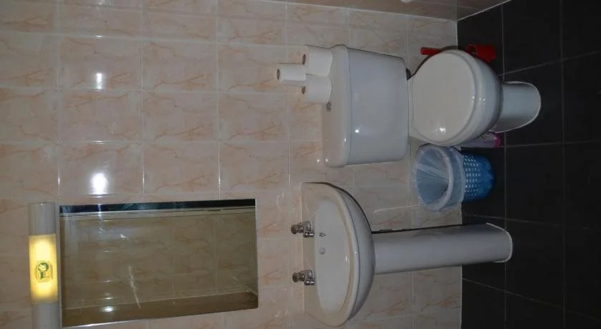 Paddy's Palace Dublin