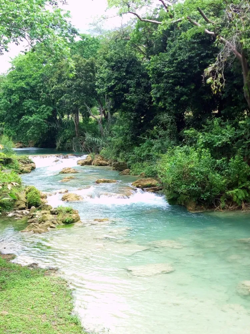 Room in Lodge - Sierraverde Cabin "cabaña el Cedro"