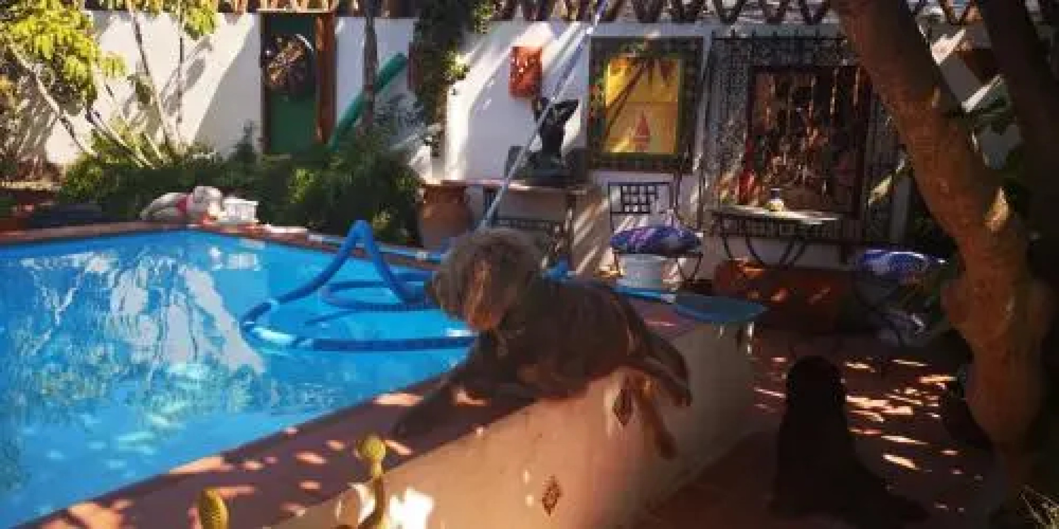 Costa Tropical Oasis