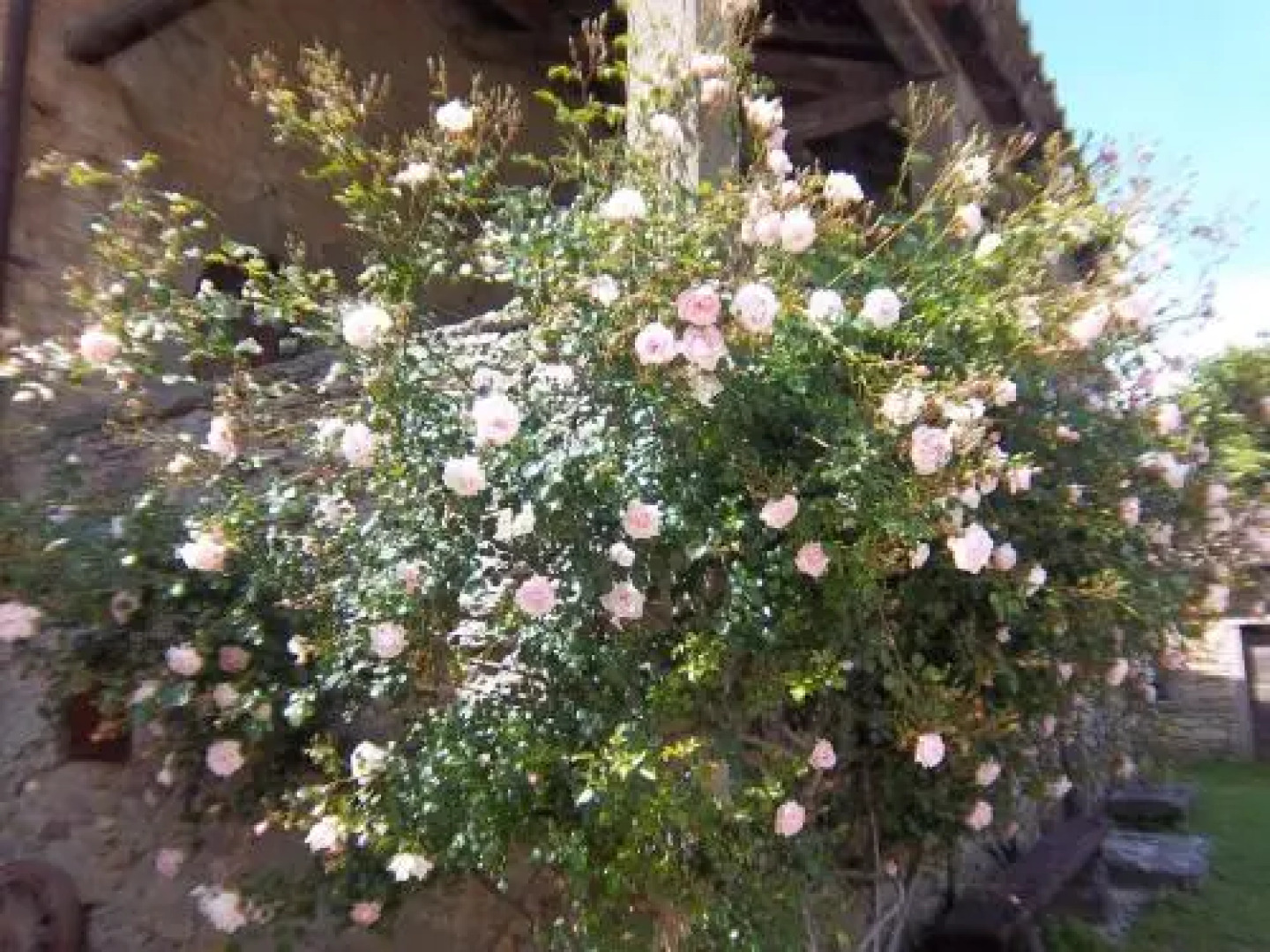 San Godenzo Casa Grande 2