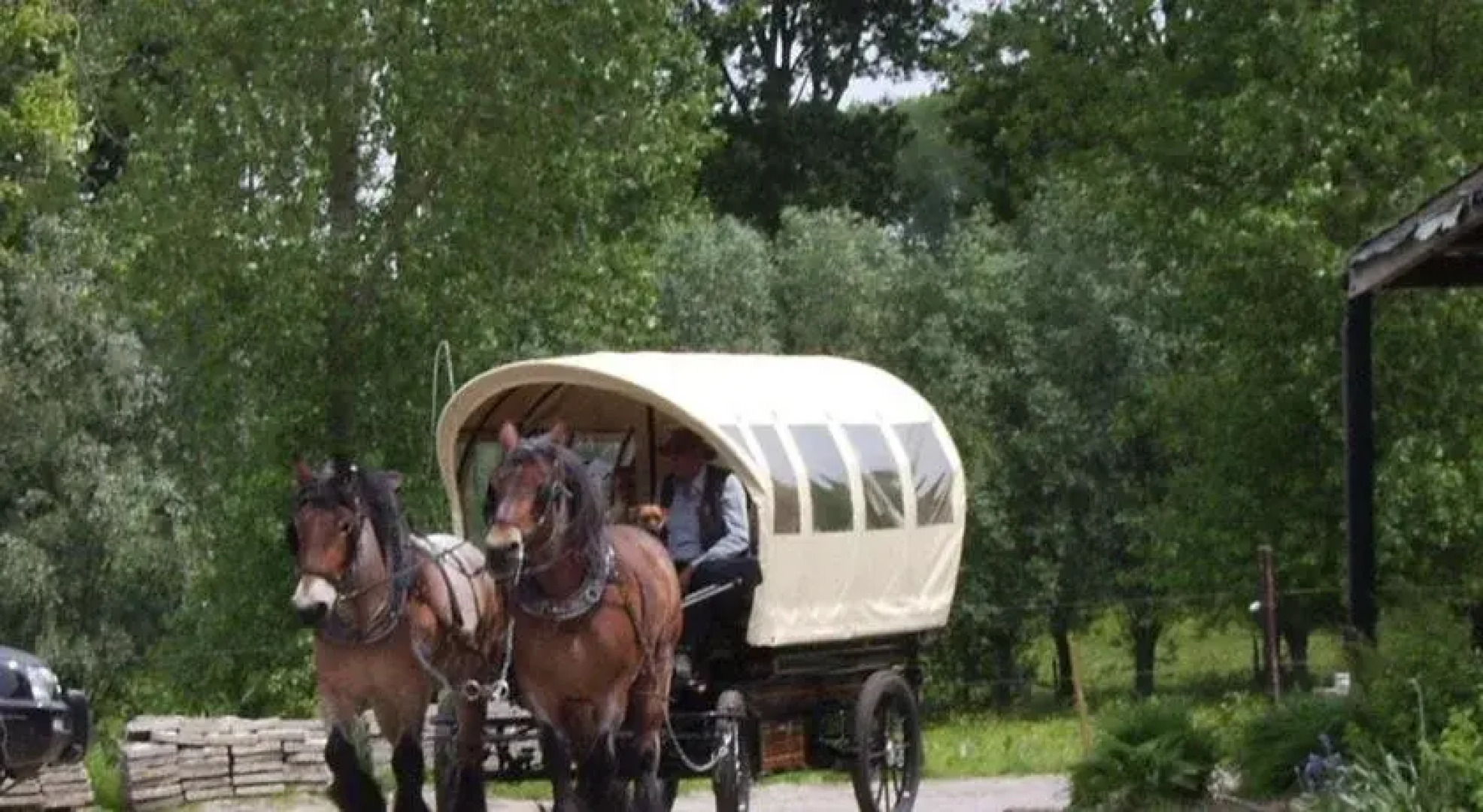 B&B In De Lossen Teugel