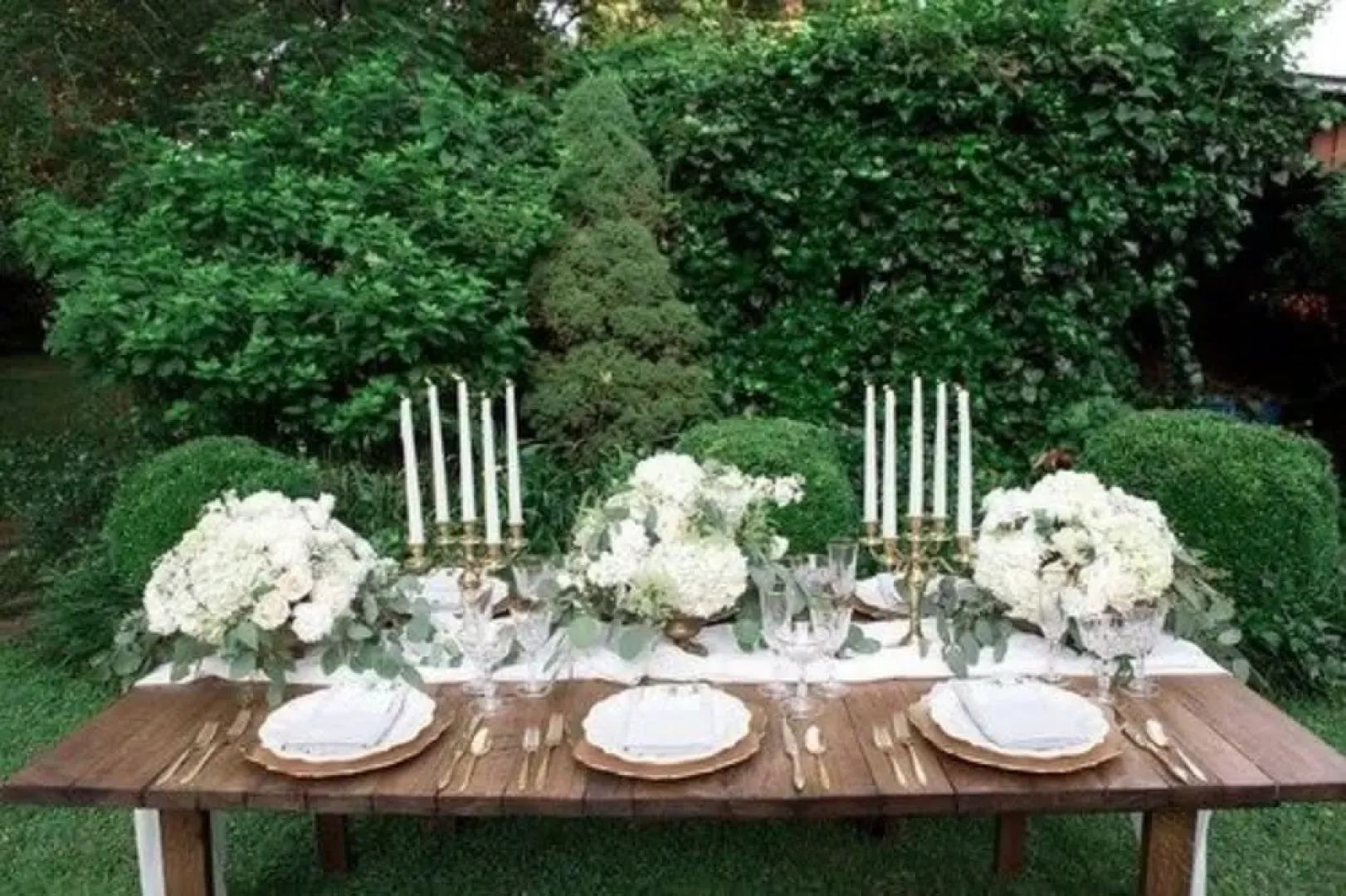 Garden Oasis Near Downtown