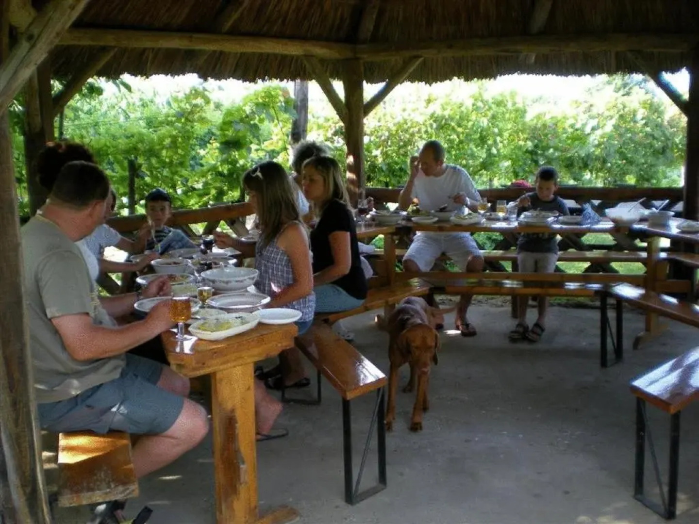 Boros Kastély Vendégház