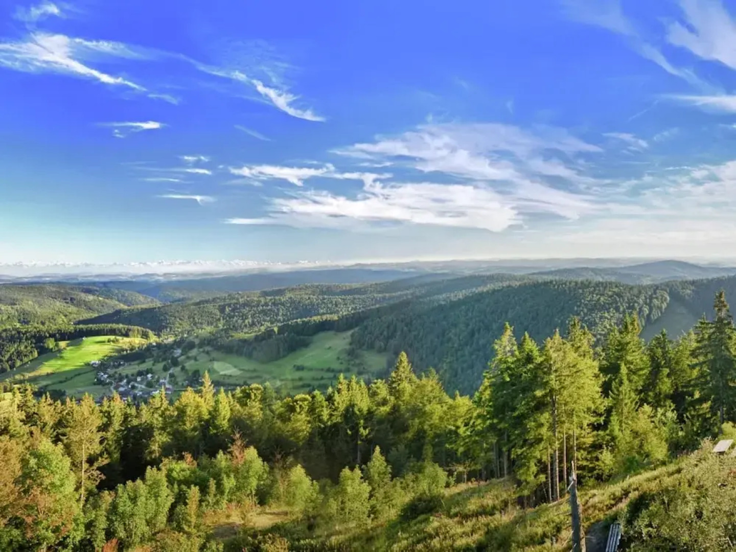 Ferienwohnung in Todtmoos