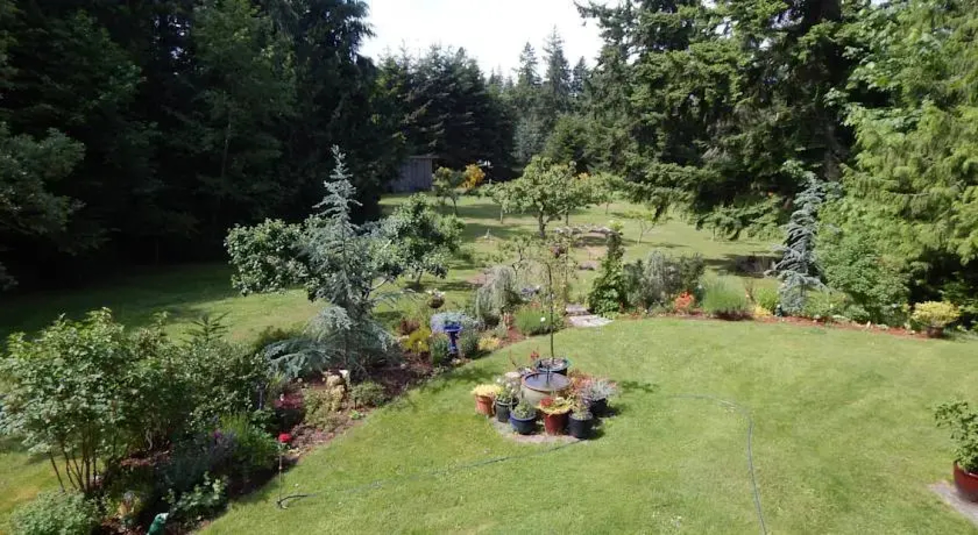 Green Cat Guest House