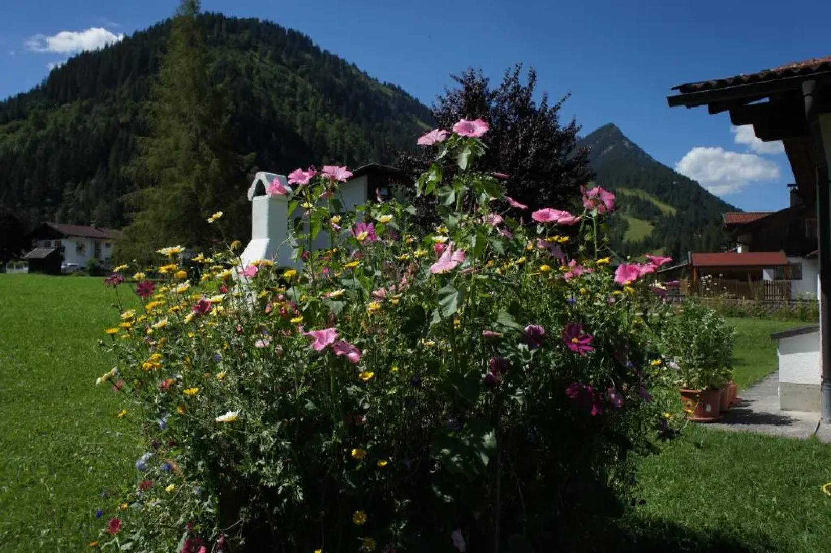 Appartements Gärtner