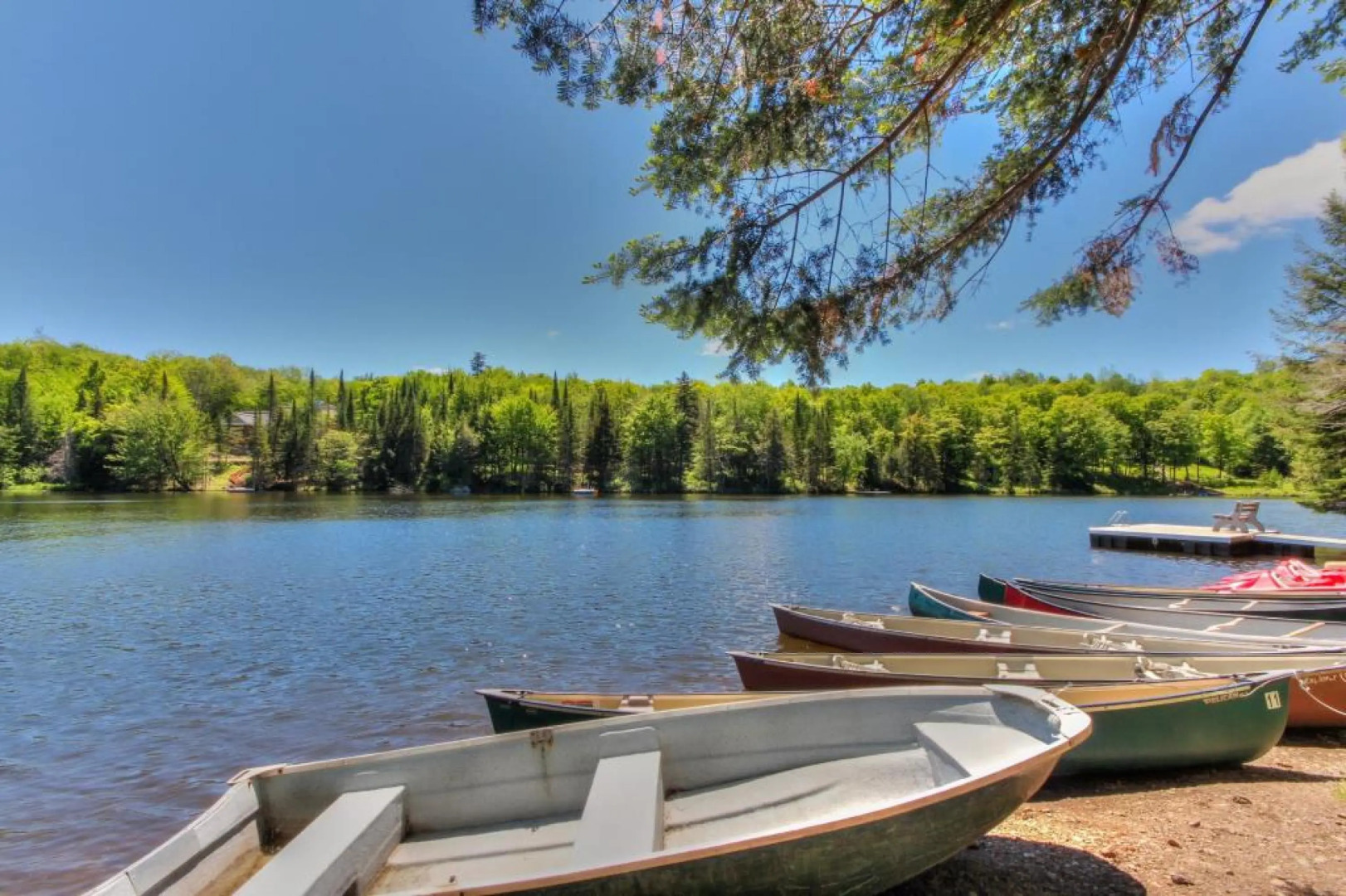 Le lapin des bois - Chalet  11   CITQ  234872