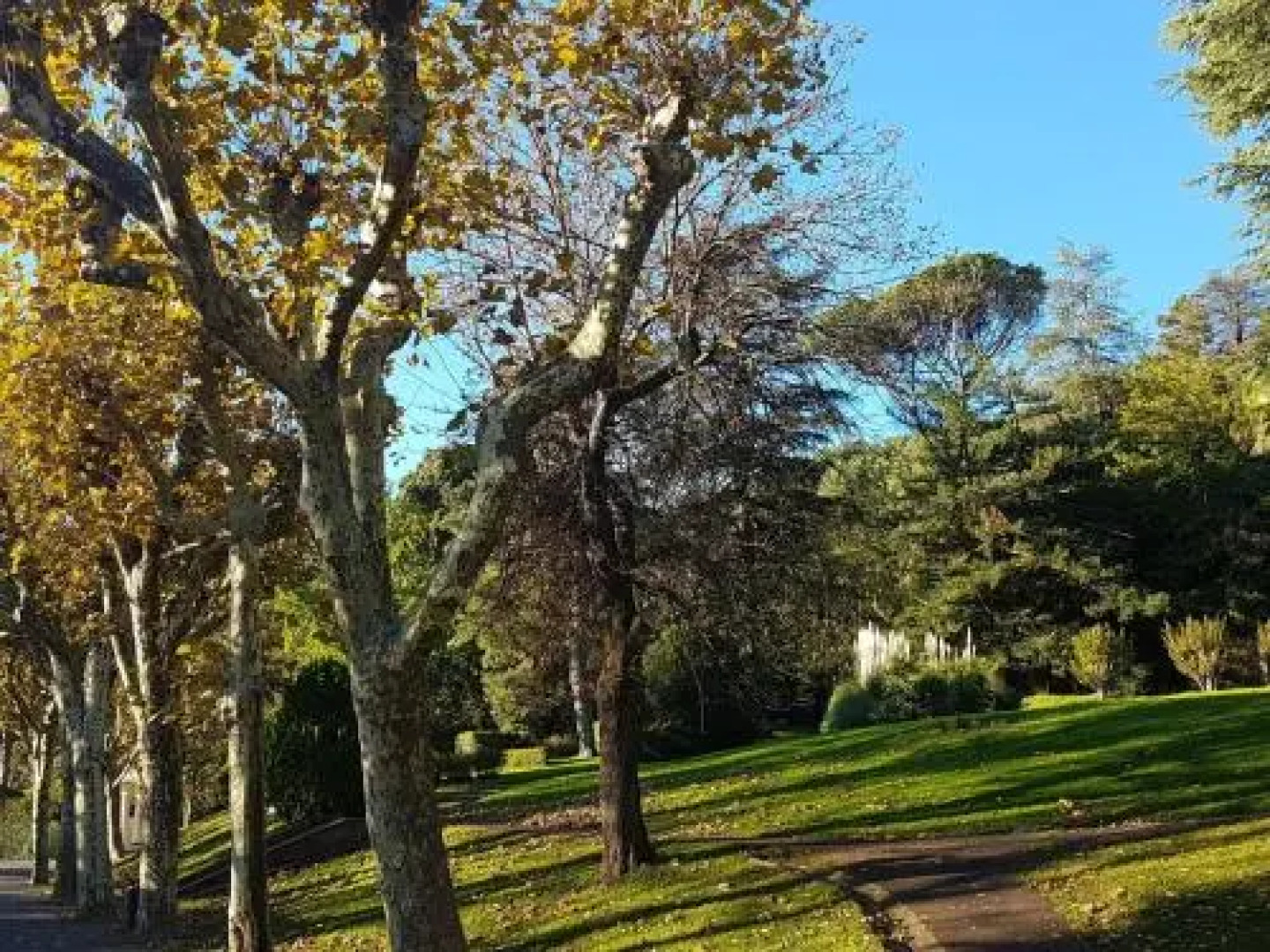 Apartment Le Relais De Manon, 16 Ave Alphonse Daudet 1