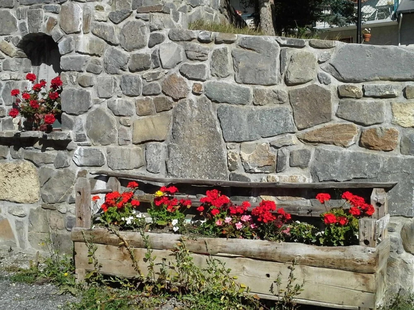 Chalet LES Ancolies - Myosotis : Studio Cabine 4 Personnes / Studio Cabin 4 People