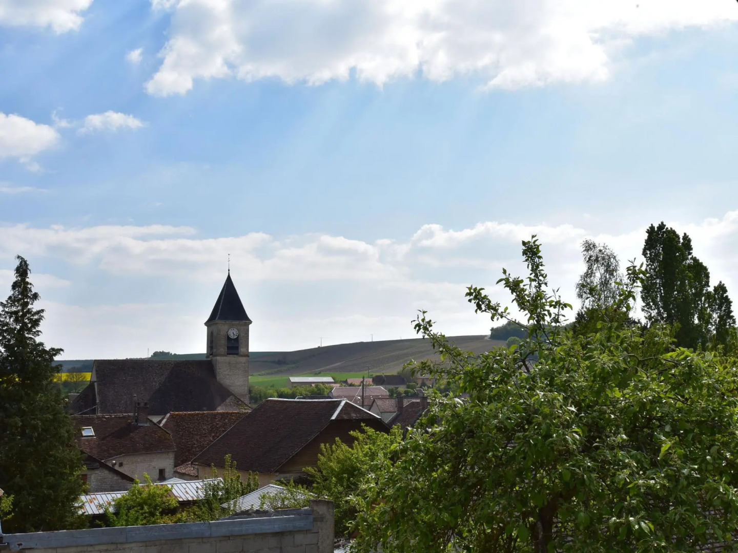 Romantic Gîte in Quiet Village for Champagne Lovers
