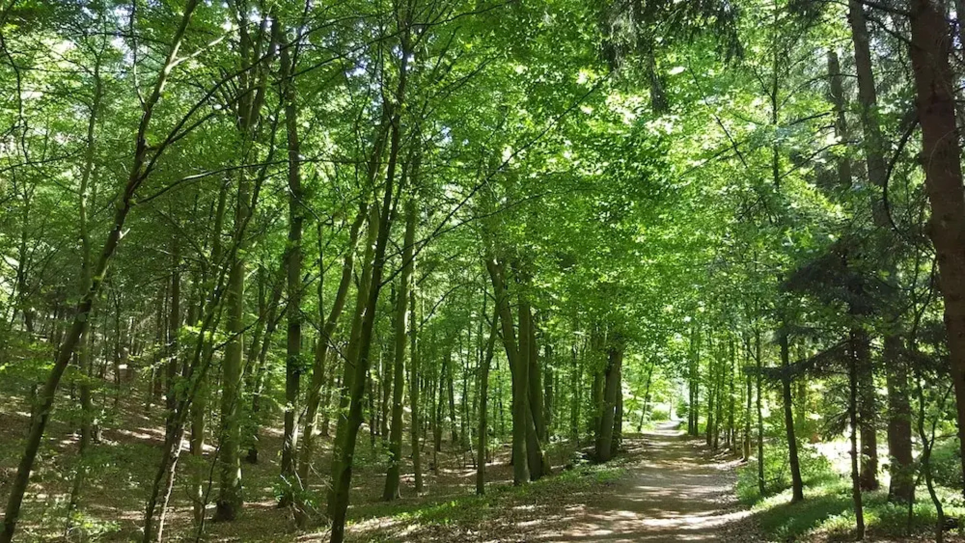 Ferienwohnungen Kampe