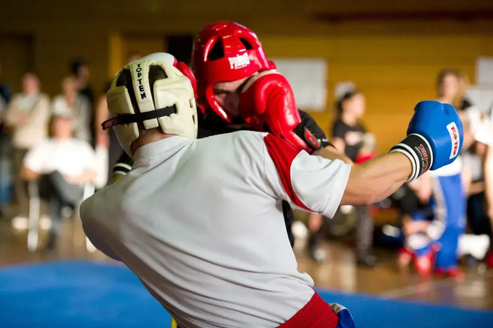 Hotel Top-Terme Topusko