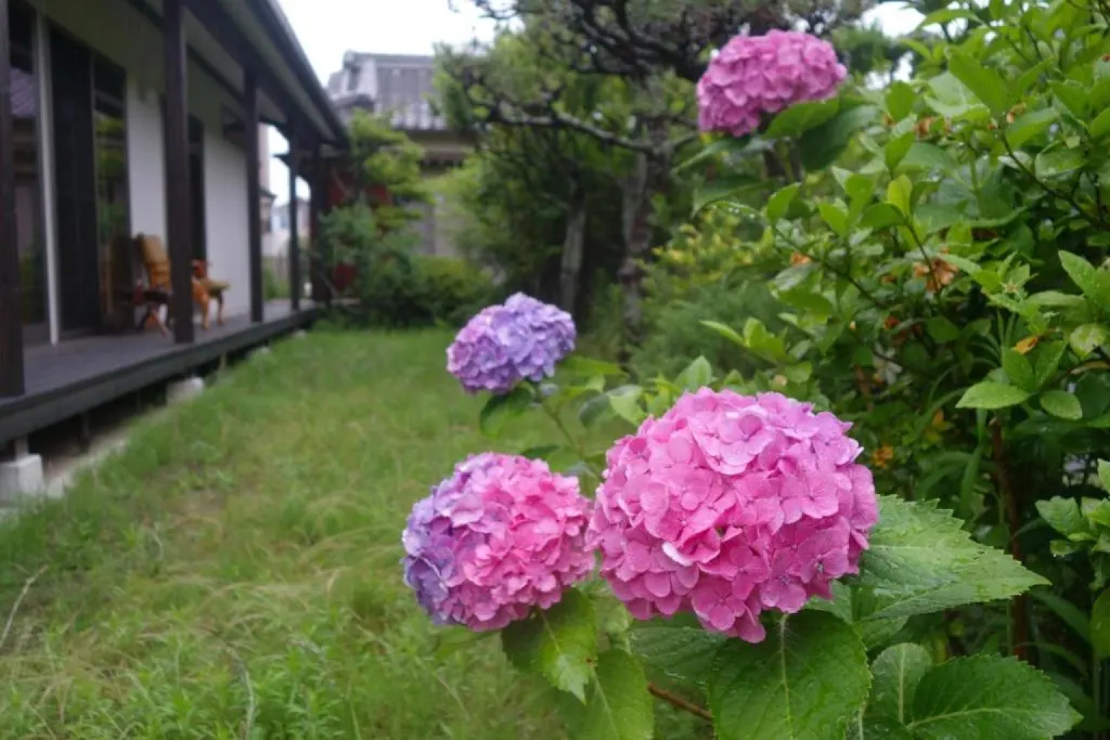 guest house Ki-zu - Vacation STAY 95389v