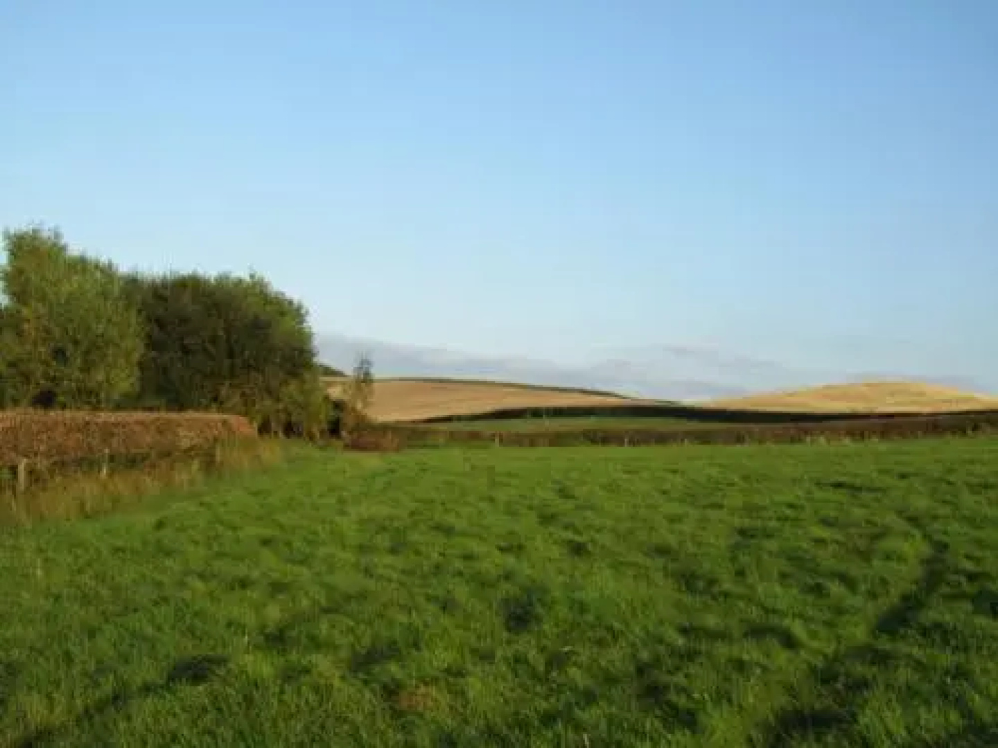 The Pines At Eastleigh