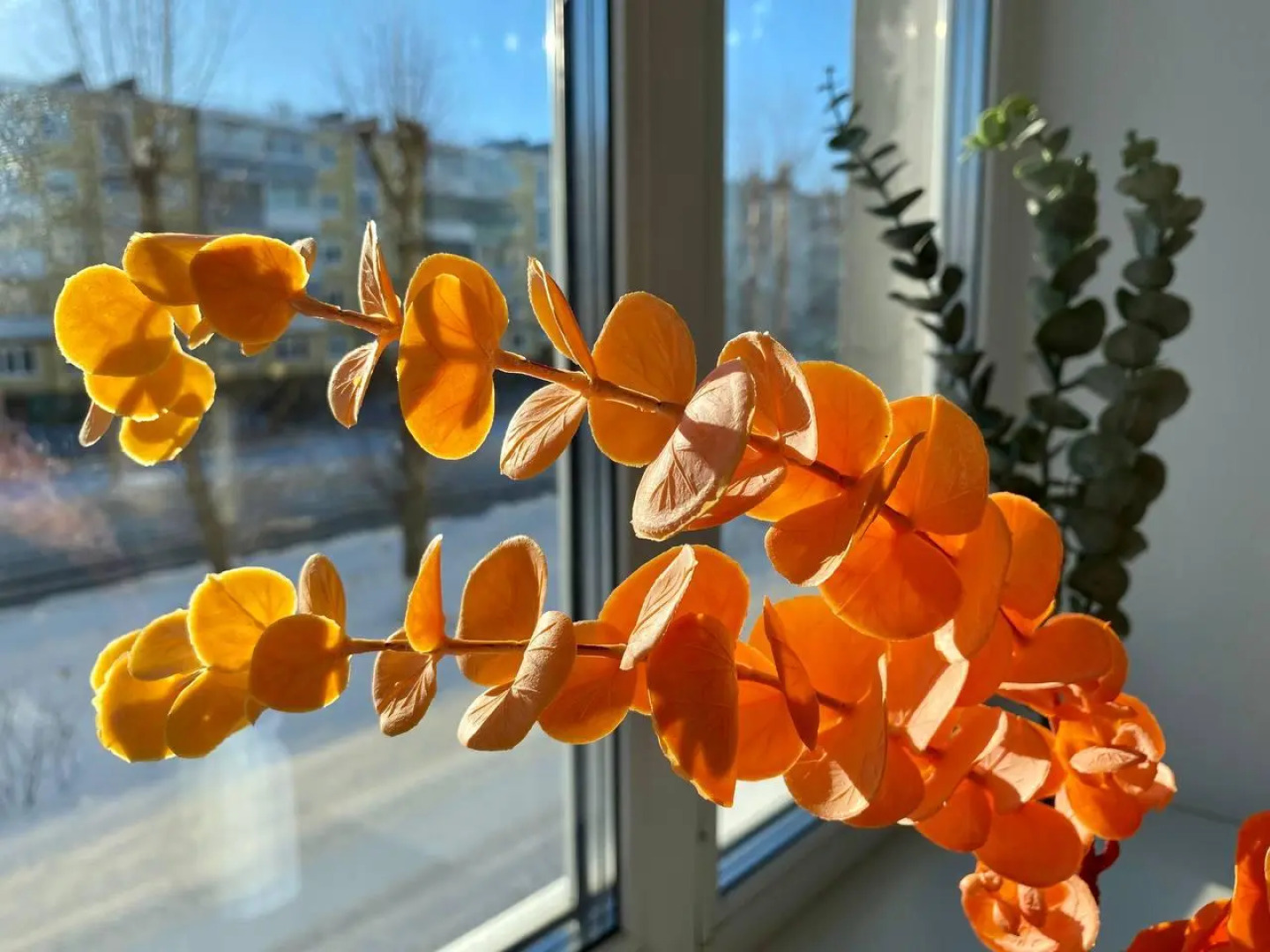 SeveRent (СевеРент) на улице Карла Маркса 26