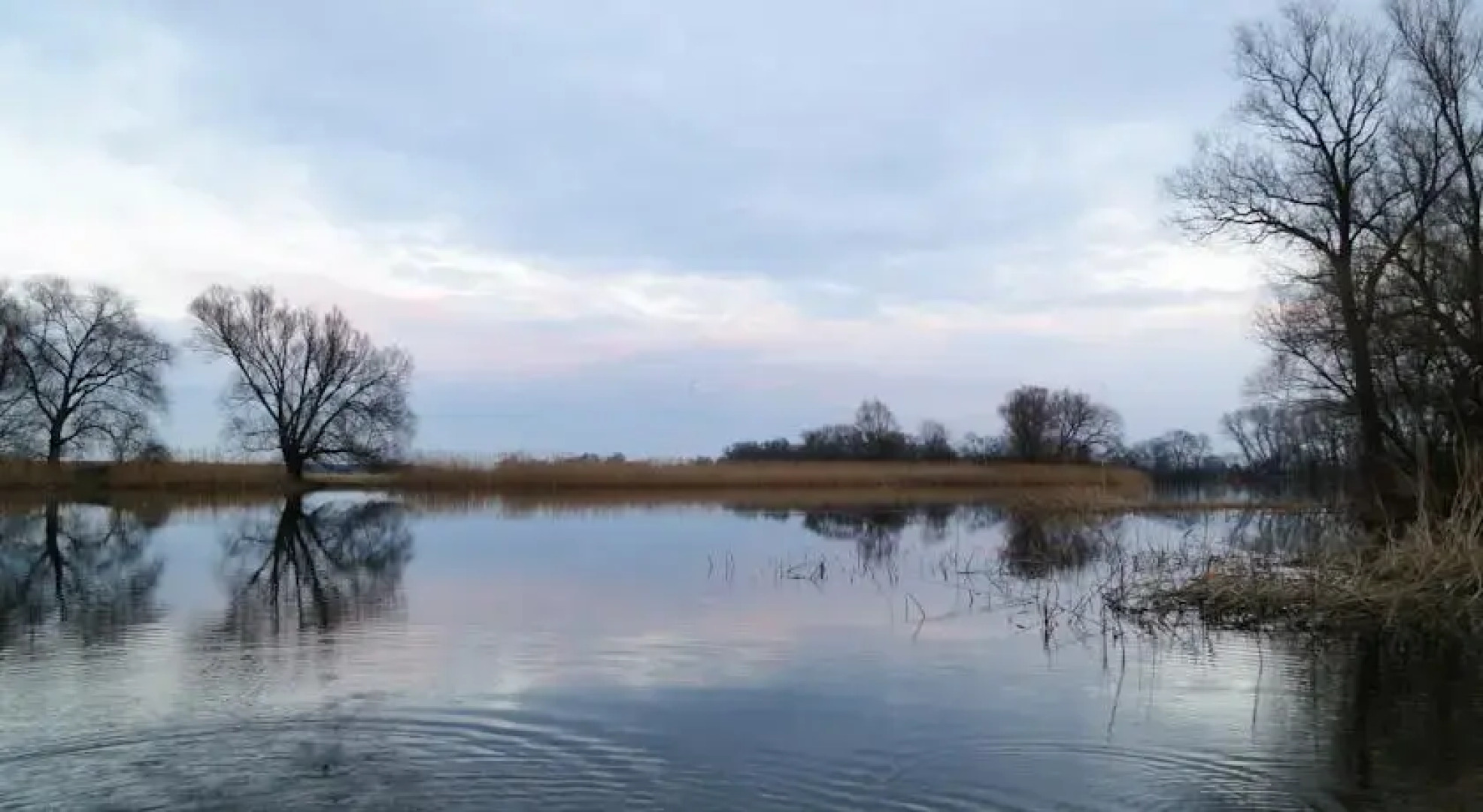 Fuchsbau - Zimmer für Freunde & Gäste