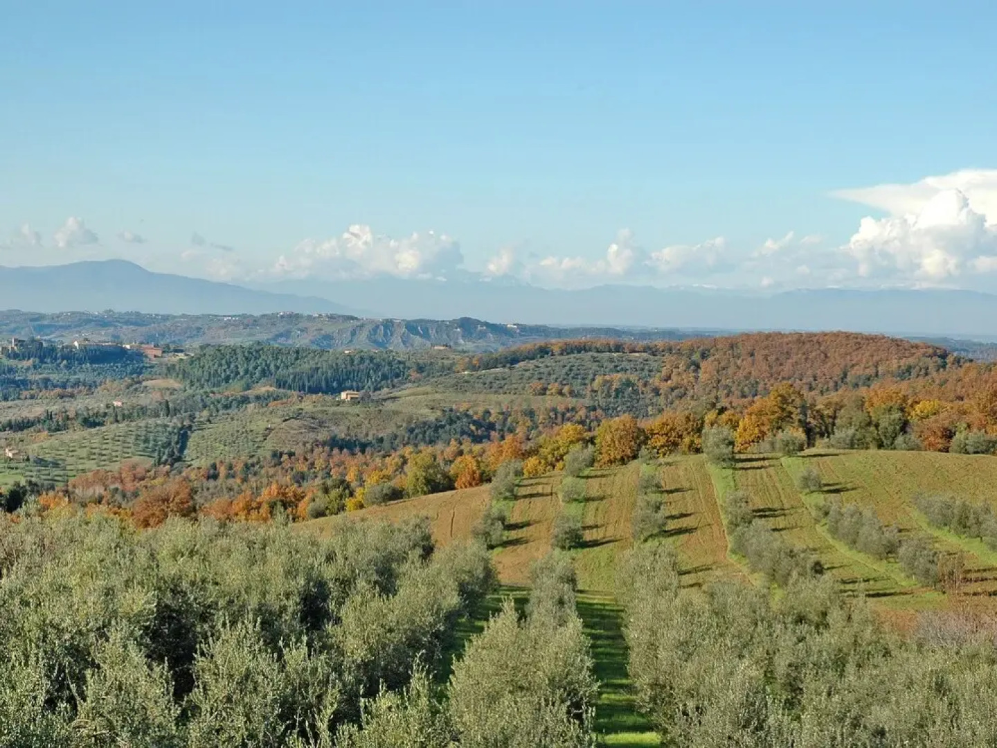 San Vivaldo Nr 2 San Vivaldo