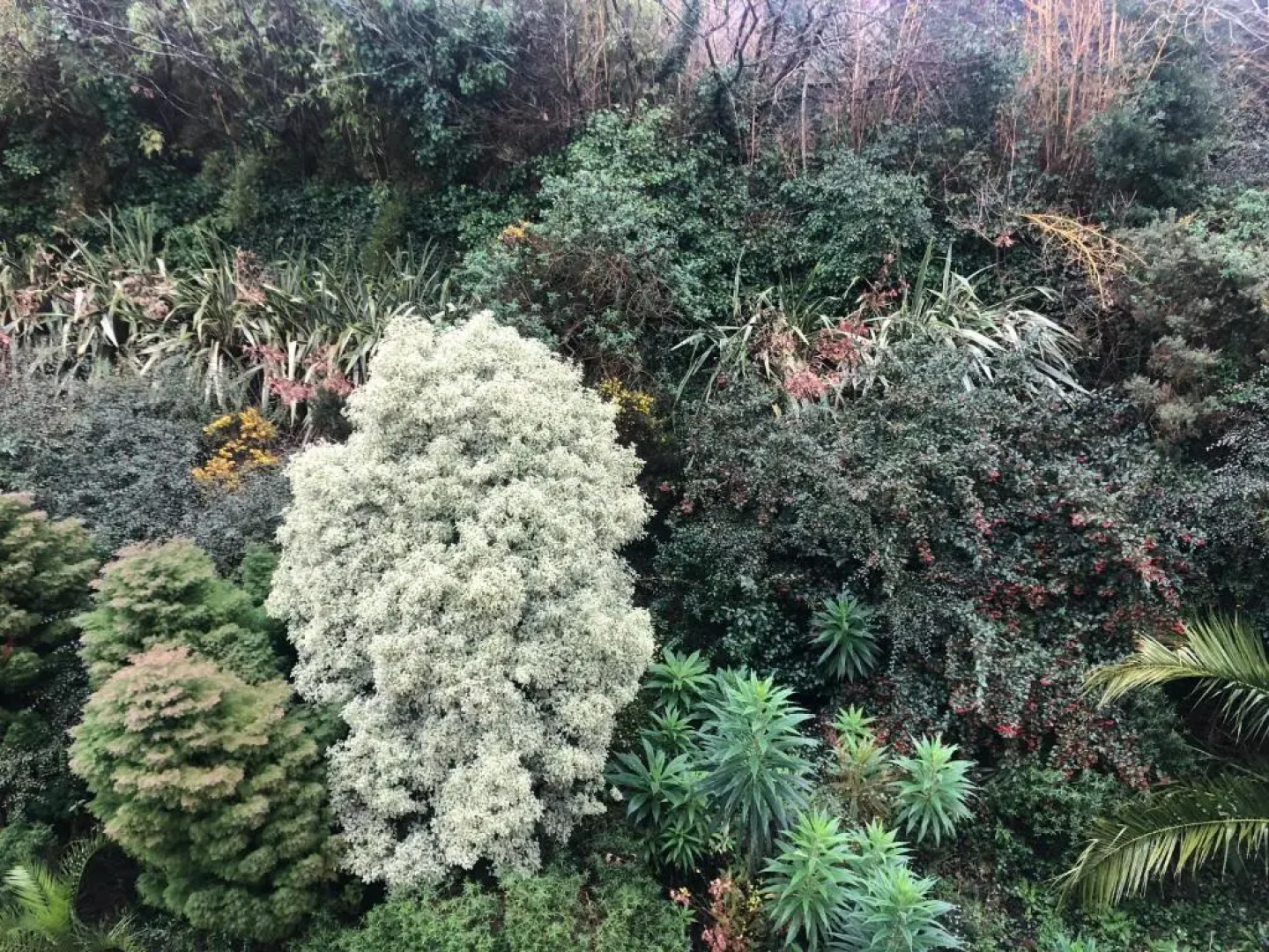 Hotel De la Corniche