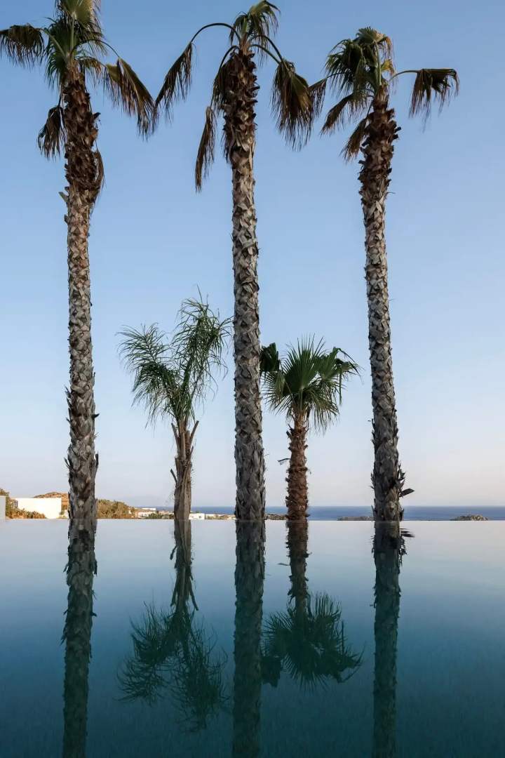 Maximus Mykonos