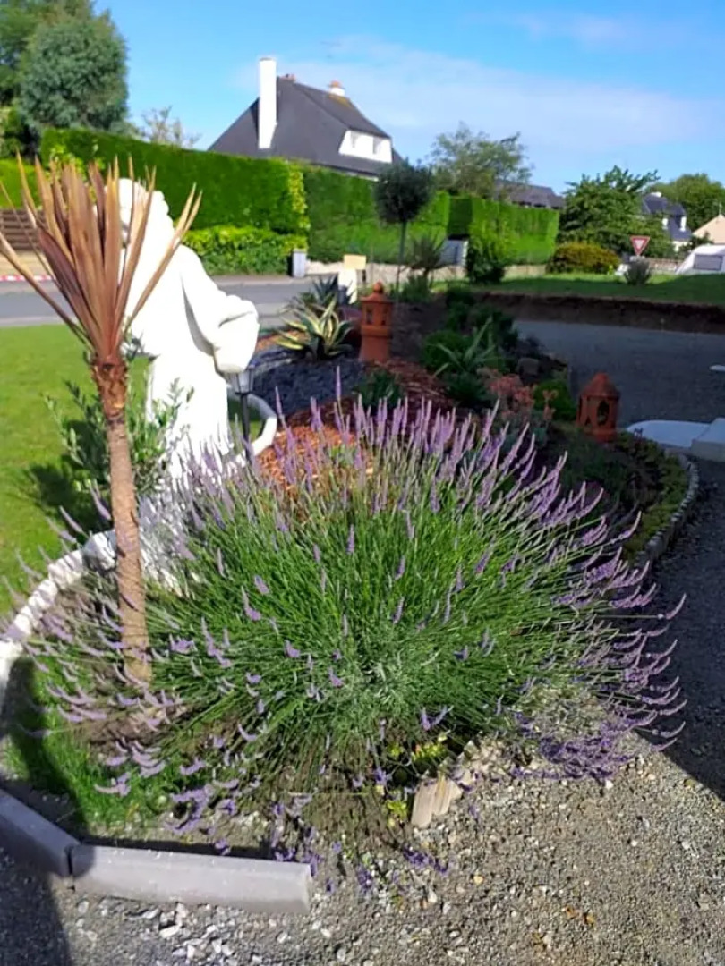 6bis Rue de la Boussaquiere St Broladre (Adults Only)