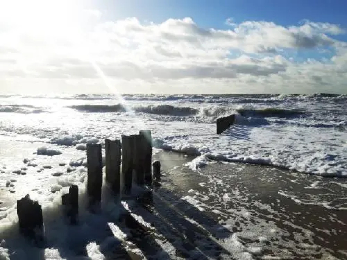 Table d'Hôte Teune & Janna