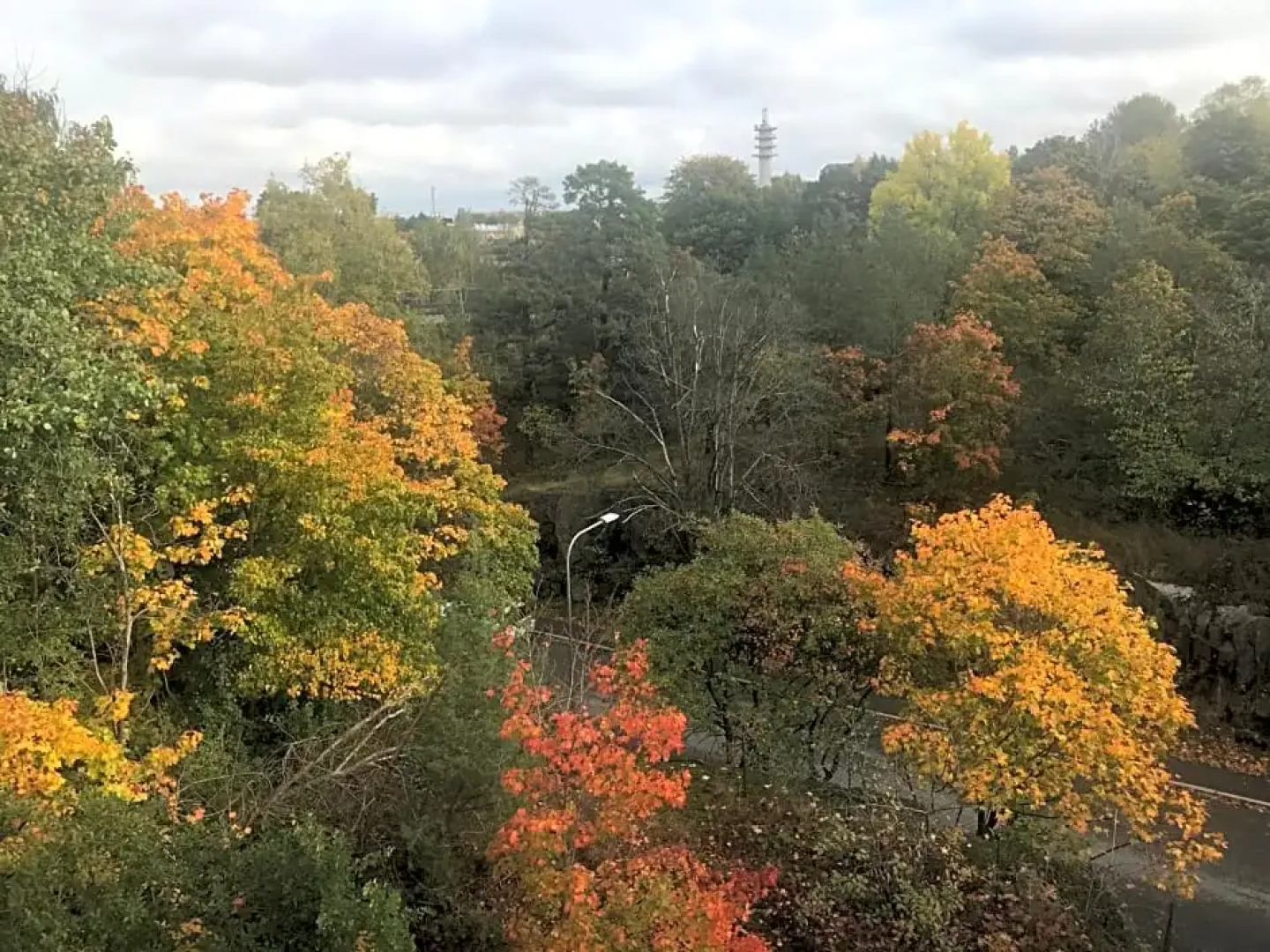 Cosy b&b-well located- directly at globen ericsson