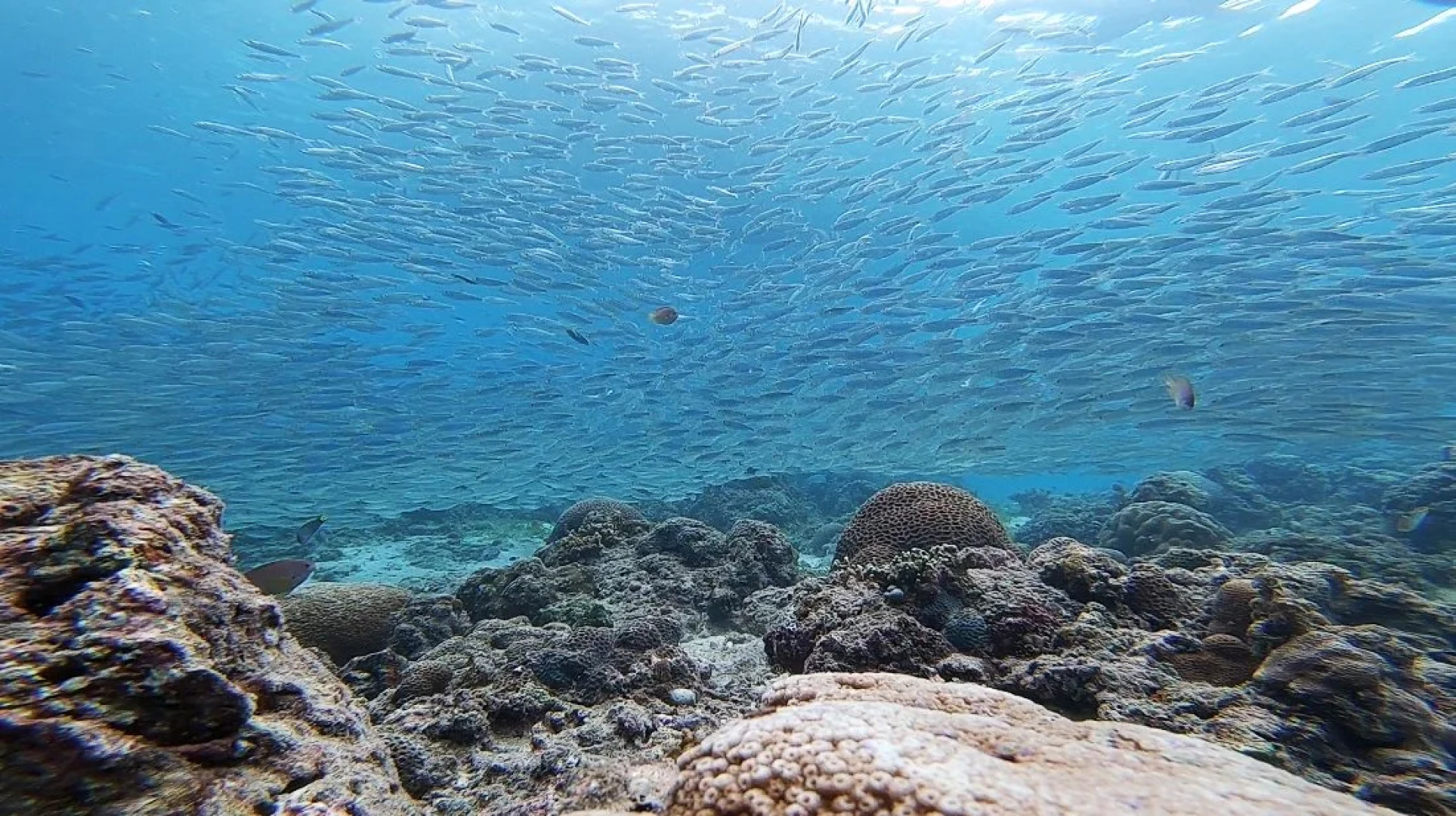 Pescadores Seaview Suites Moalboal