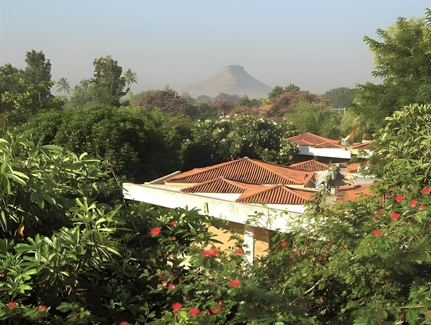 The Meadows Resort and Spa