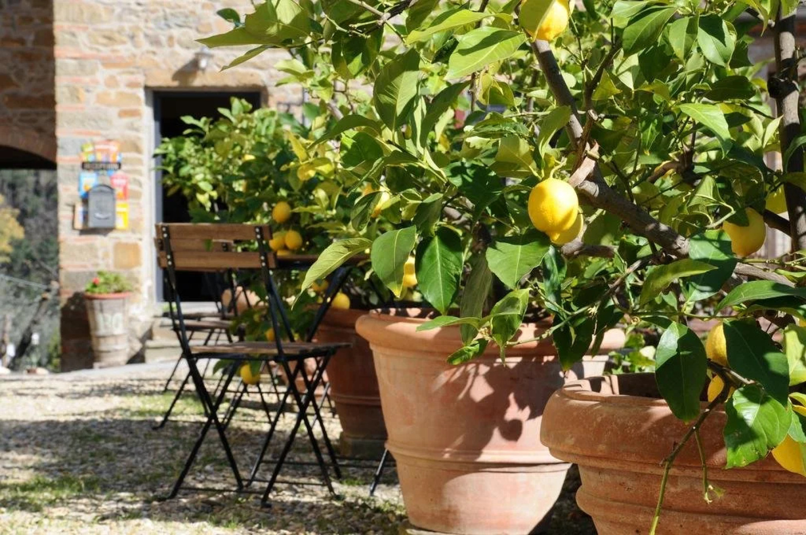 Agriturismo La Gioconda