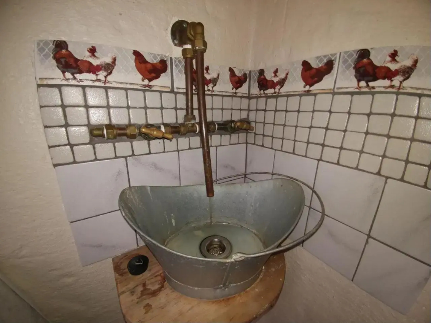 Die Hoenderhok And Die Plaashuisie