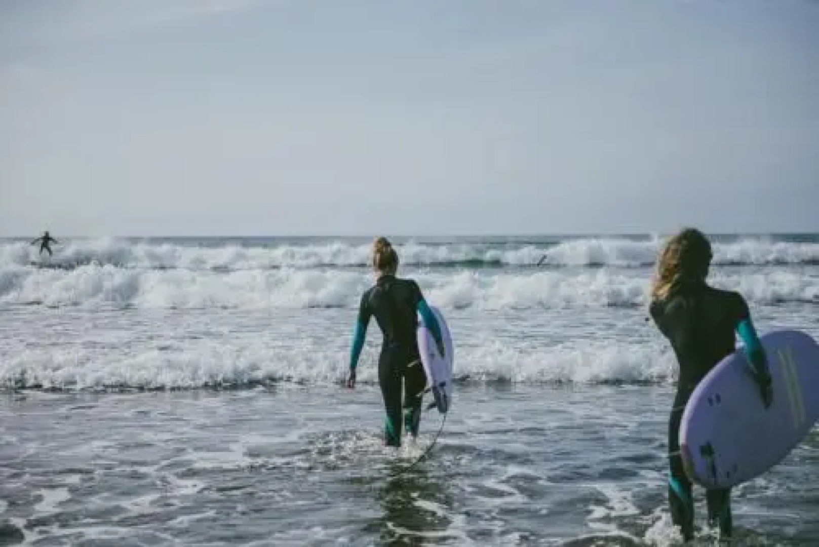 El Pez Escorpion - Hostel