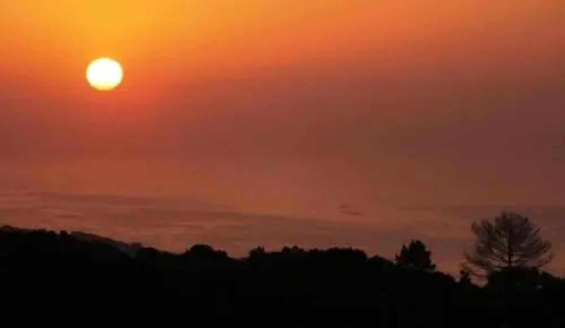 The Wallow Guest House