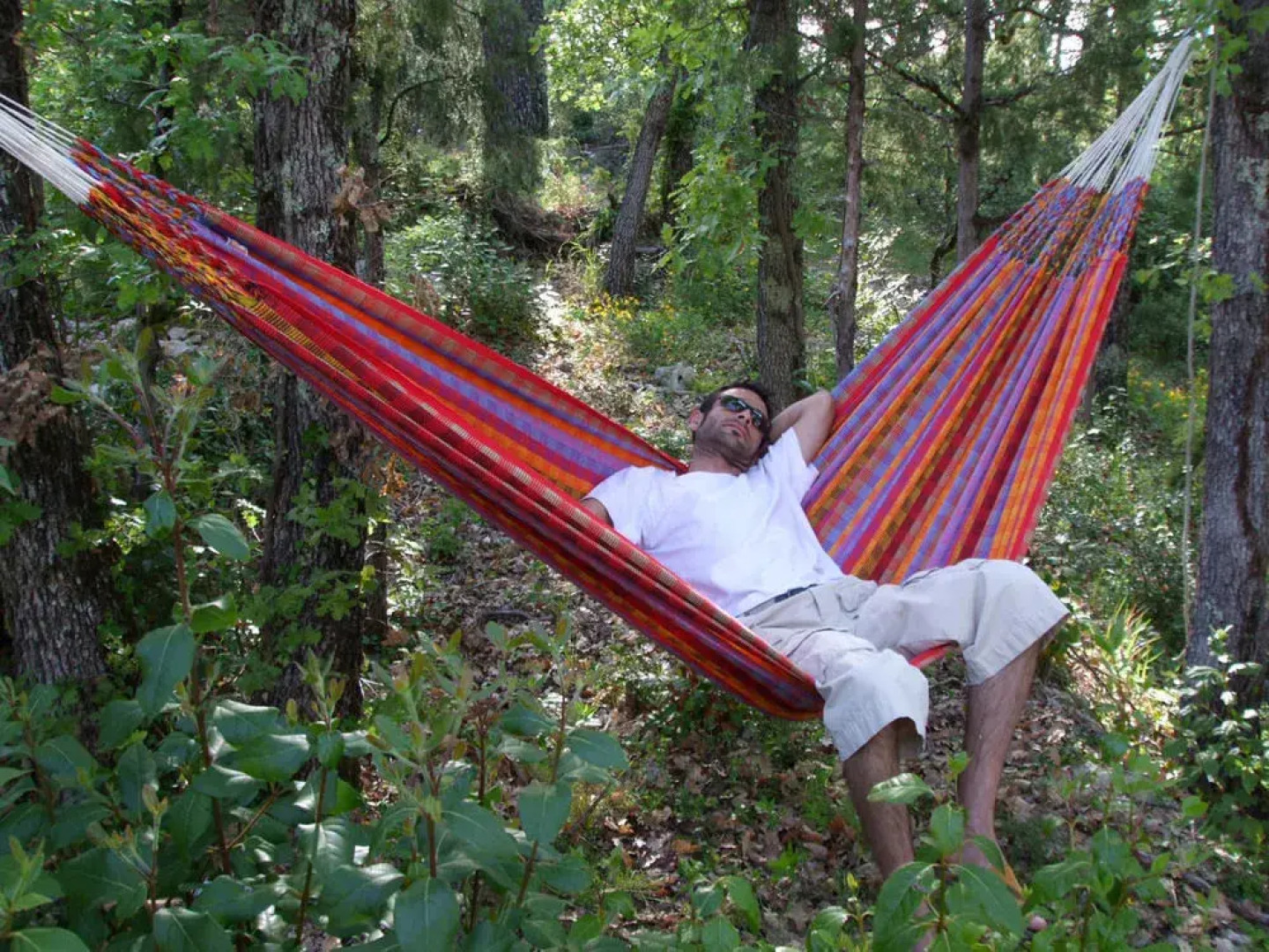 La Bastide des Templiers