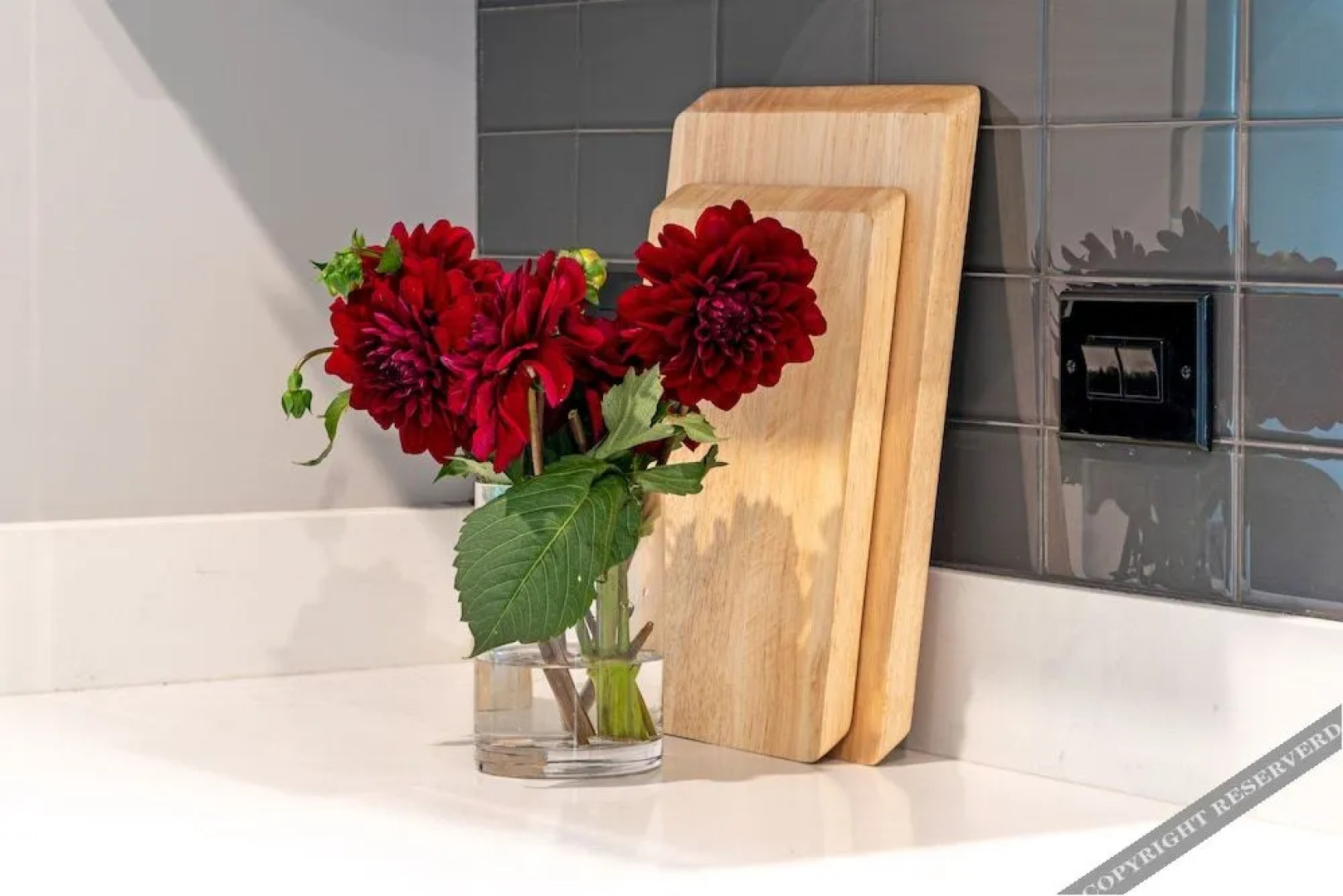 Reno Experience District Condos By Barsala