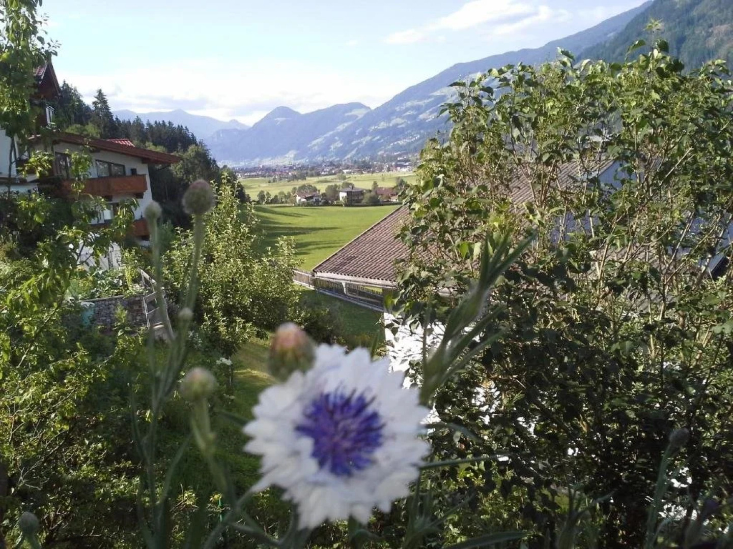 Appartement - Ferienwohnung Waldrand