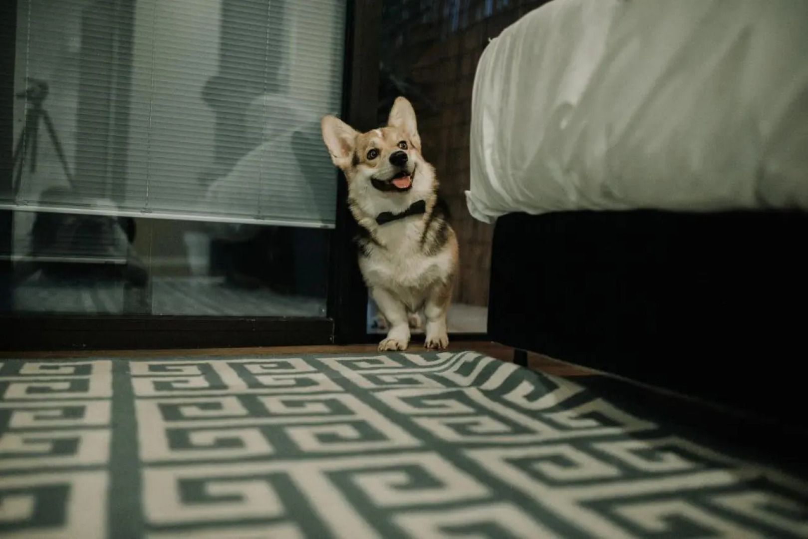 Brown Lighthouse Eilat