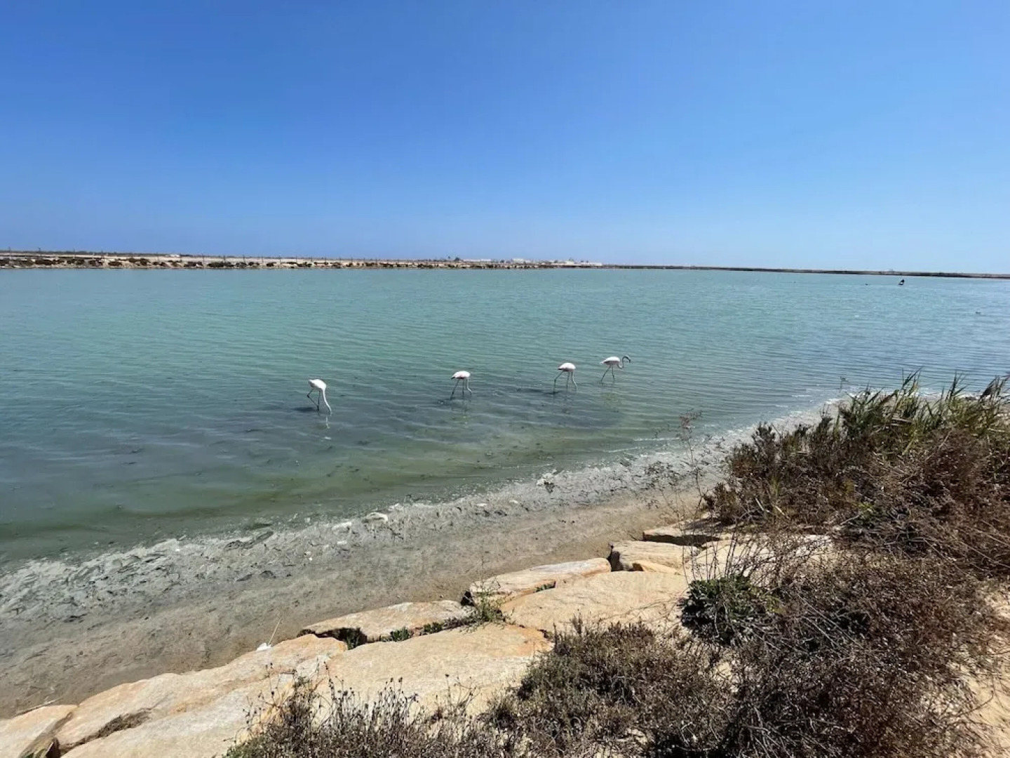 Belvilla by OYO Casa del Segura