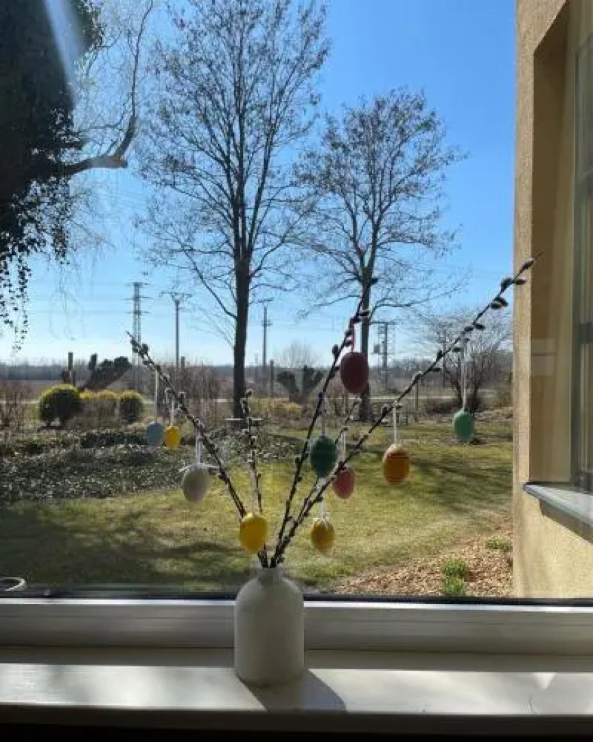 Divá Kačica Restaurant & Pansion