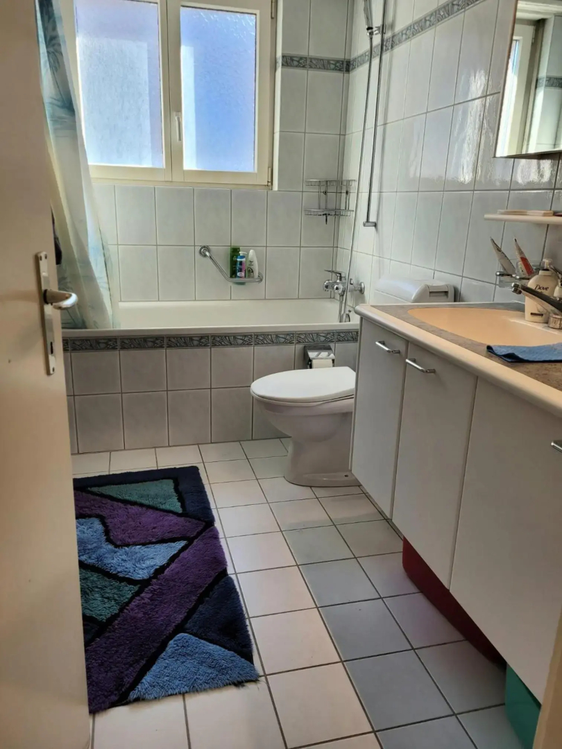 Schöne grosse Attika-Wohnung im Zentrum von Vaduz inkl. Parkplatz