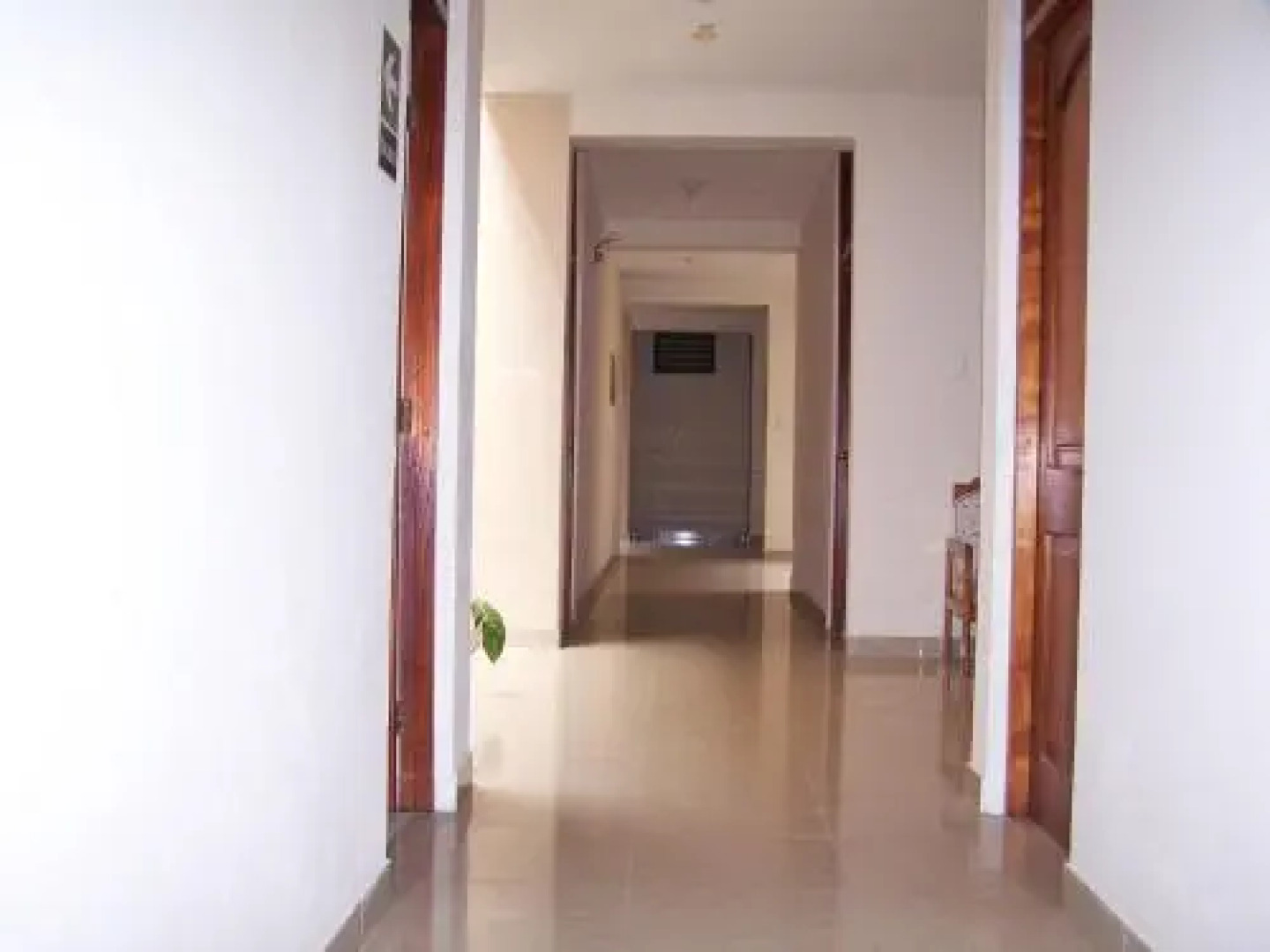 Alojamiento Selva del Sol II